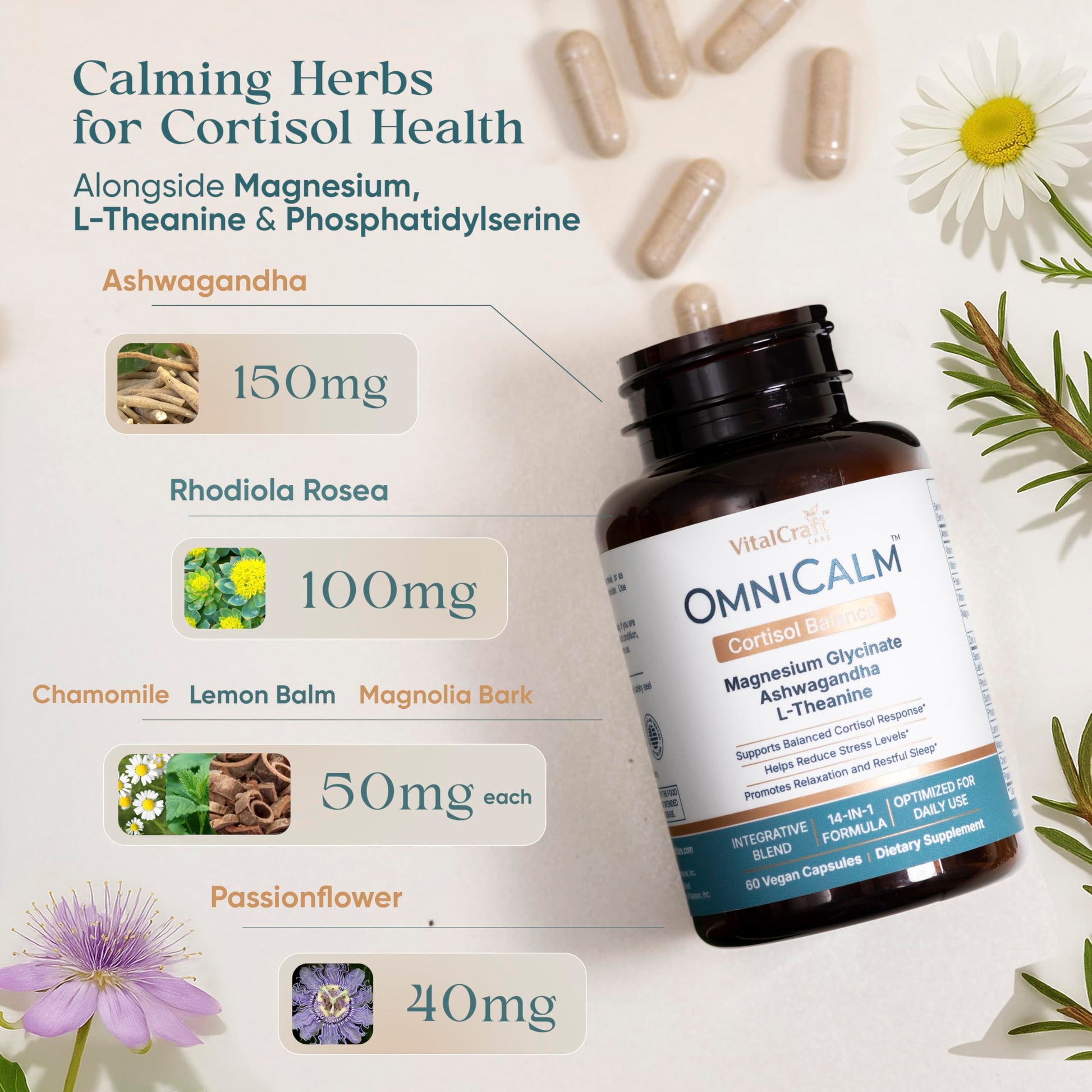 VITALCRAFT LABS OmniCalm Cortisol Supplements for Women & Men | Stress Relief & Sleep Support with Magnesium & Ashwagandha, L Theanine | 14-in-1 Cortisol Reducer, Manager, Detox – USA VITALCRAFT LABSAu supplements