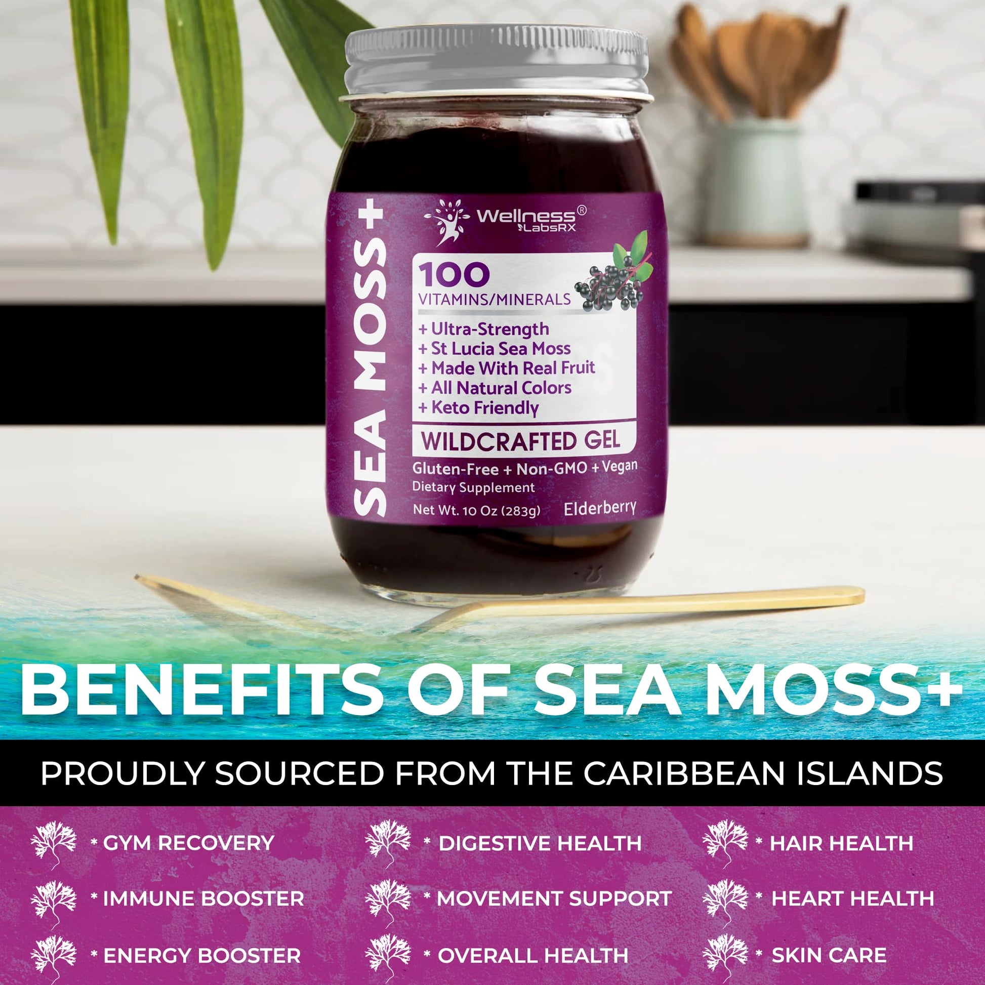 WELLNESS LABSRX Irish Sea Moss Gel Raw - Wildcrafted Superfood Seamoss Gel - Elderberry Flavor, Vitamin and Mineral-Rich from Pristine Caribbean Waters, Immune and Digestive Health Support - 10 oz. WELLNESS LABSRXAu supplements