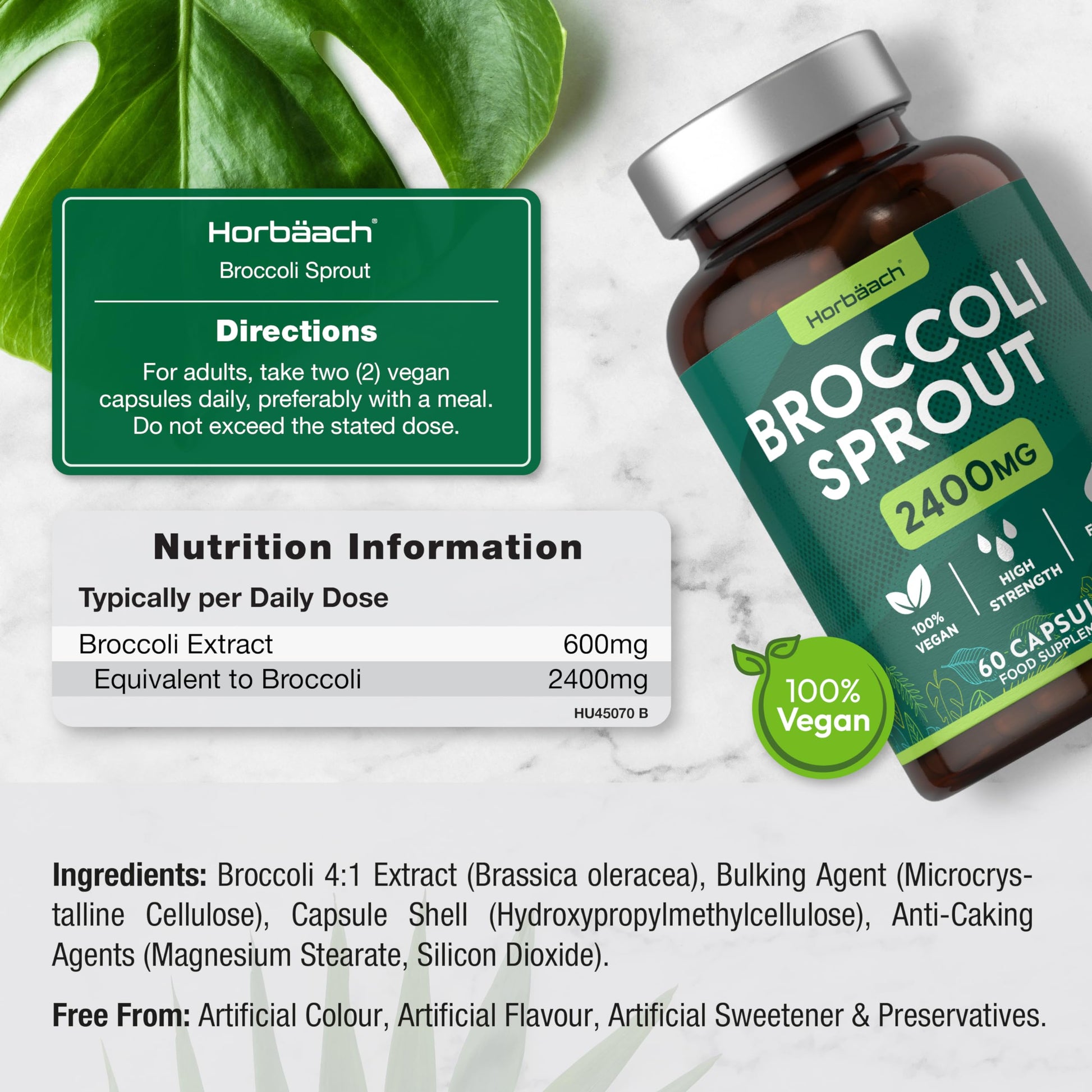 Broccoli Sprout Extract | Activated Sulforaphane Supplement | 2400mg Capsules | 60 Ct HorbäachUS supplements