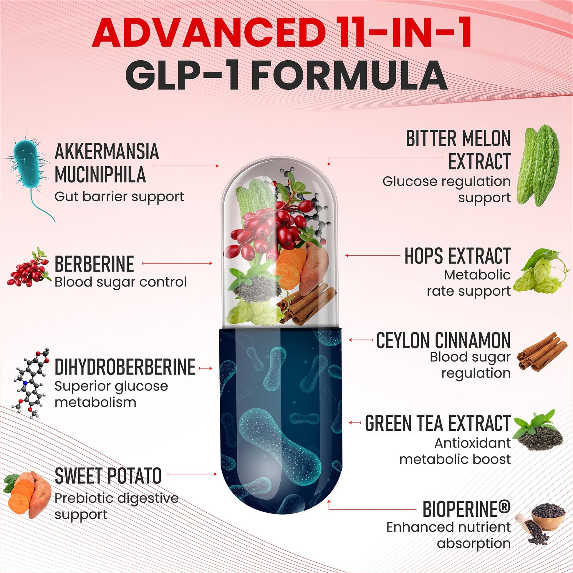 Zenrenu GLP-1 Supplement for Women - Natural Metabolism, Appetite & Craving Support – Super Berberine, Cinnamon,Akkermansia Probiotic,11-in-1 Gut Support - GLP Activate -60 Vegan Caps ZenrenuAu supplements