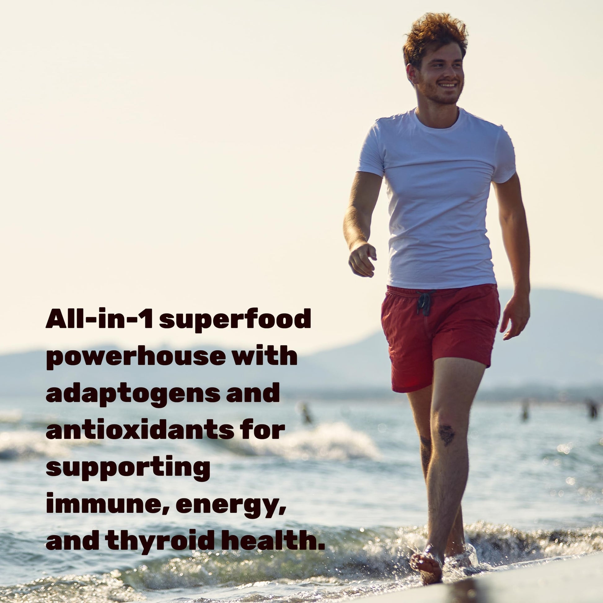 DEAL SUPPLEMENT Irish Sea Moss 240 Veggie Capsules – 14 Superfood Complex with Black Seed Oil, Ashwagandha, & Ginger DEAL SUPPLEMENTAu supplements