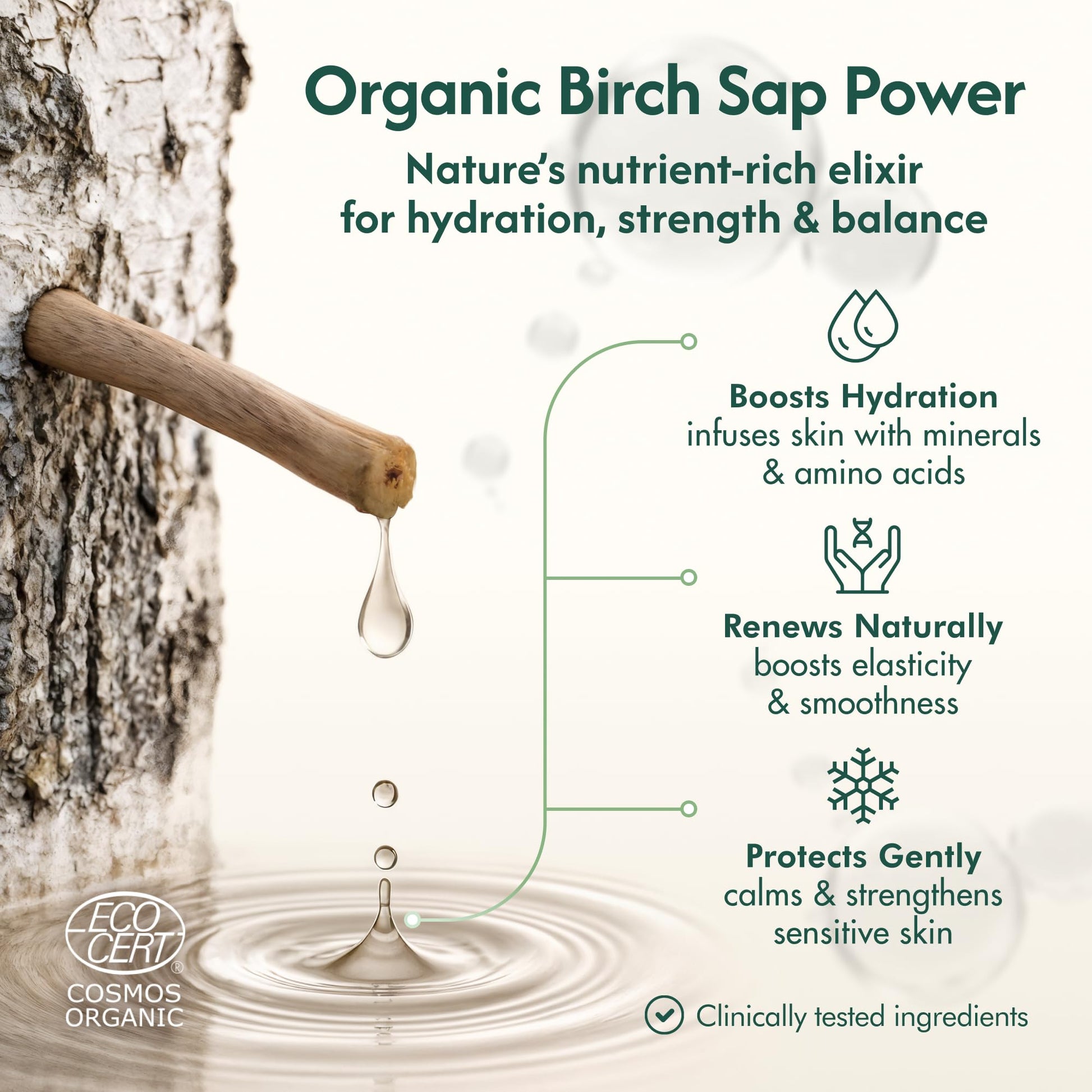Nordic Organic Birch Sap Face Mist – COSMOS Certified Organic Formula with Hyaluronic Acid & Chaga Mushroom, Fragrance Free, Made in Finland 3.38 oz (100 ml), 1 Bottle Nordic OrganicAu supplements