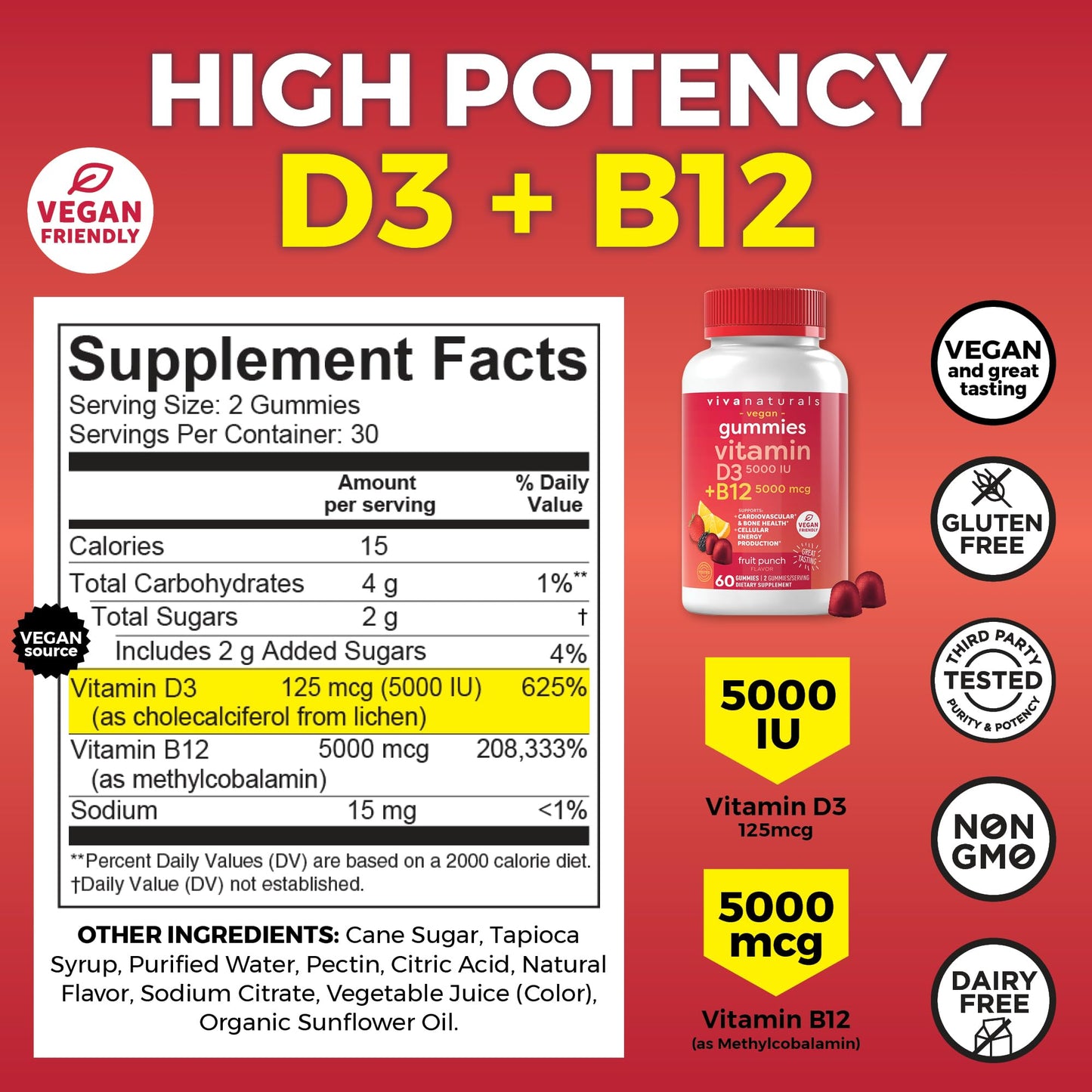 Viva Naturals Plant-Based B12 Gummies with Vitamin D3 - Chewable 5000mcg B12 Viva NaturalsUS supplements