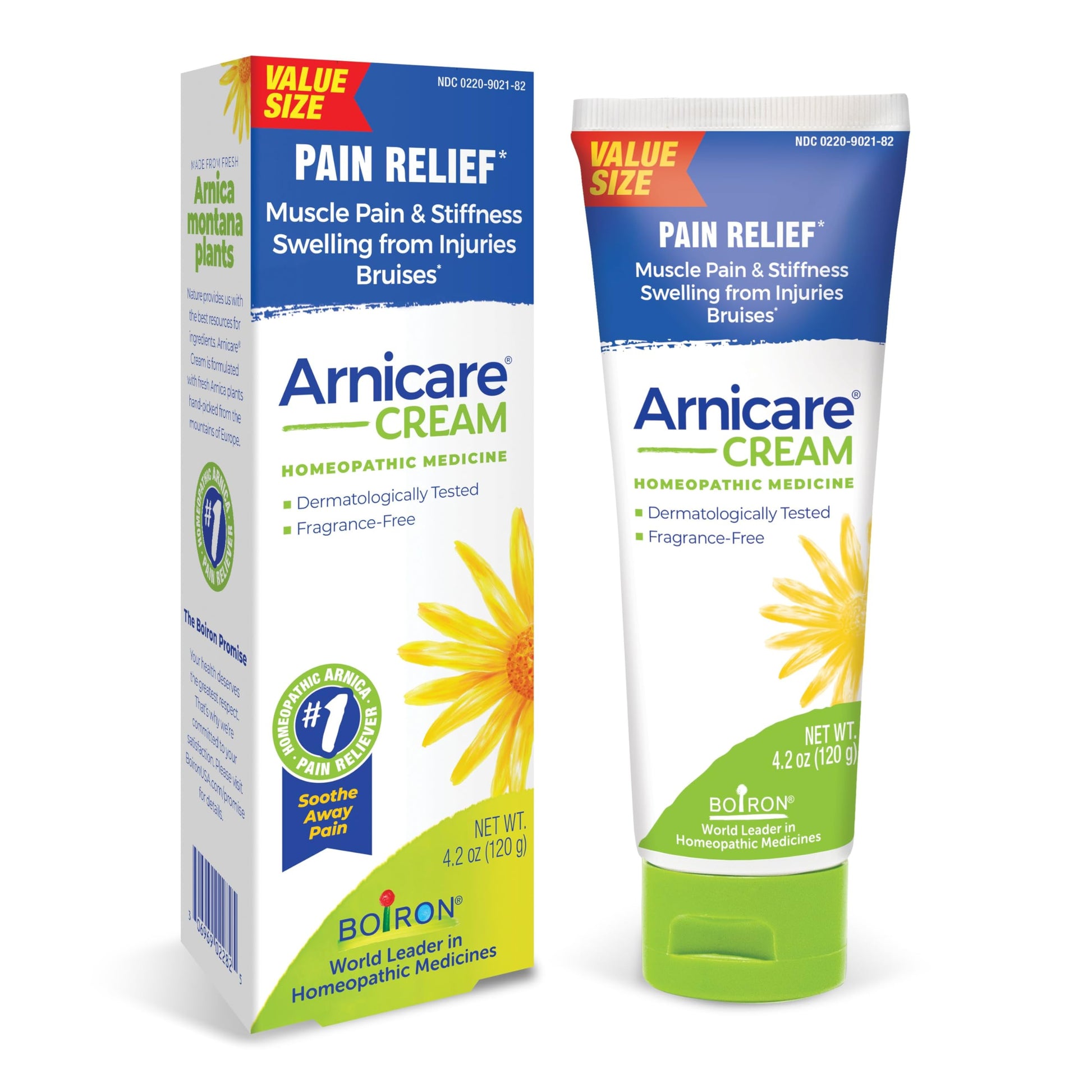Boiron Arnicare Cream for Joint Pain, Muscle Pain, Swelling, Soreness, Stiffness, and Bruises - Fast Absorbing and Fragrance-Free - 4.2 oz BoironAu supplements