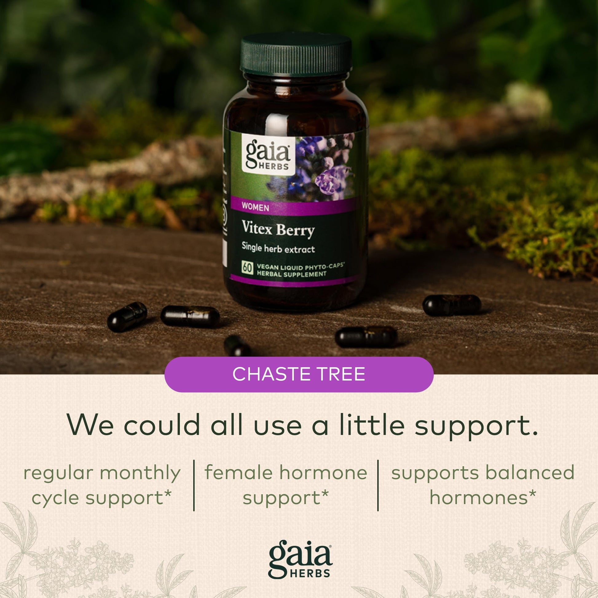 Gaia Herbs Vitex Berry (Chaste Tree) - Supports Hormone Balance & Fertility Gaia HerbsAu supplements