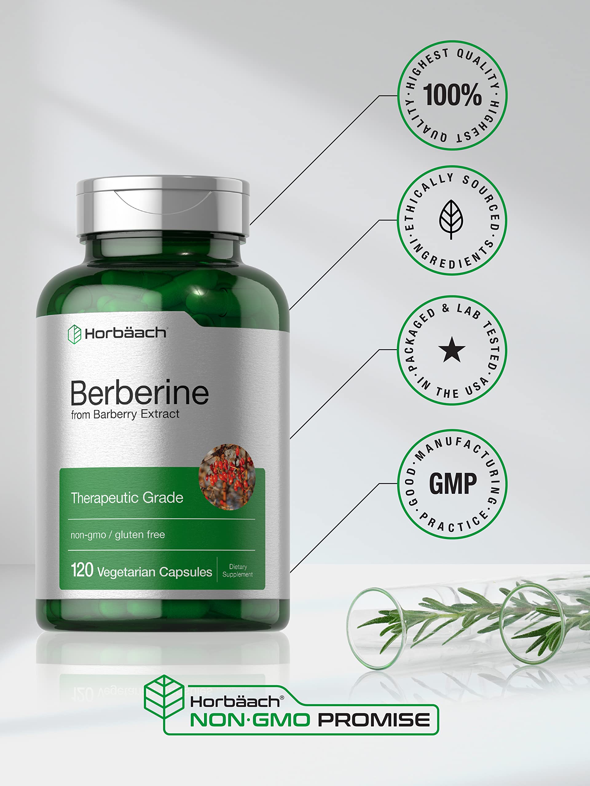 Berberine Supplement | 120 Capsules | Berberine HCl from Barberry Extract | Non-GMO HorbäachAu supplements
