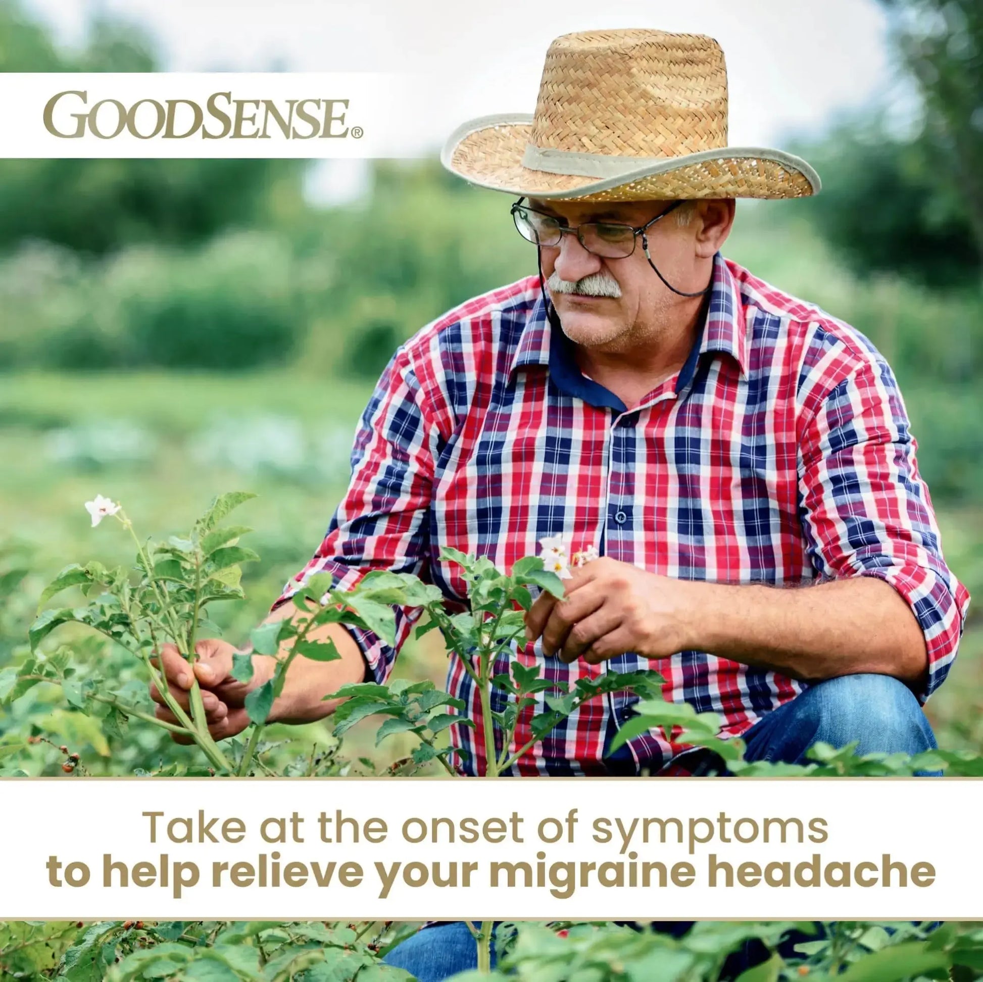 GoodSense Migraine Formula Caplets - Acetaminophen, Aspirin (NSAID) & Caffeine - Migraine Pain Relief, 24 Count GoodSenseAu supplements