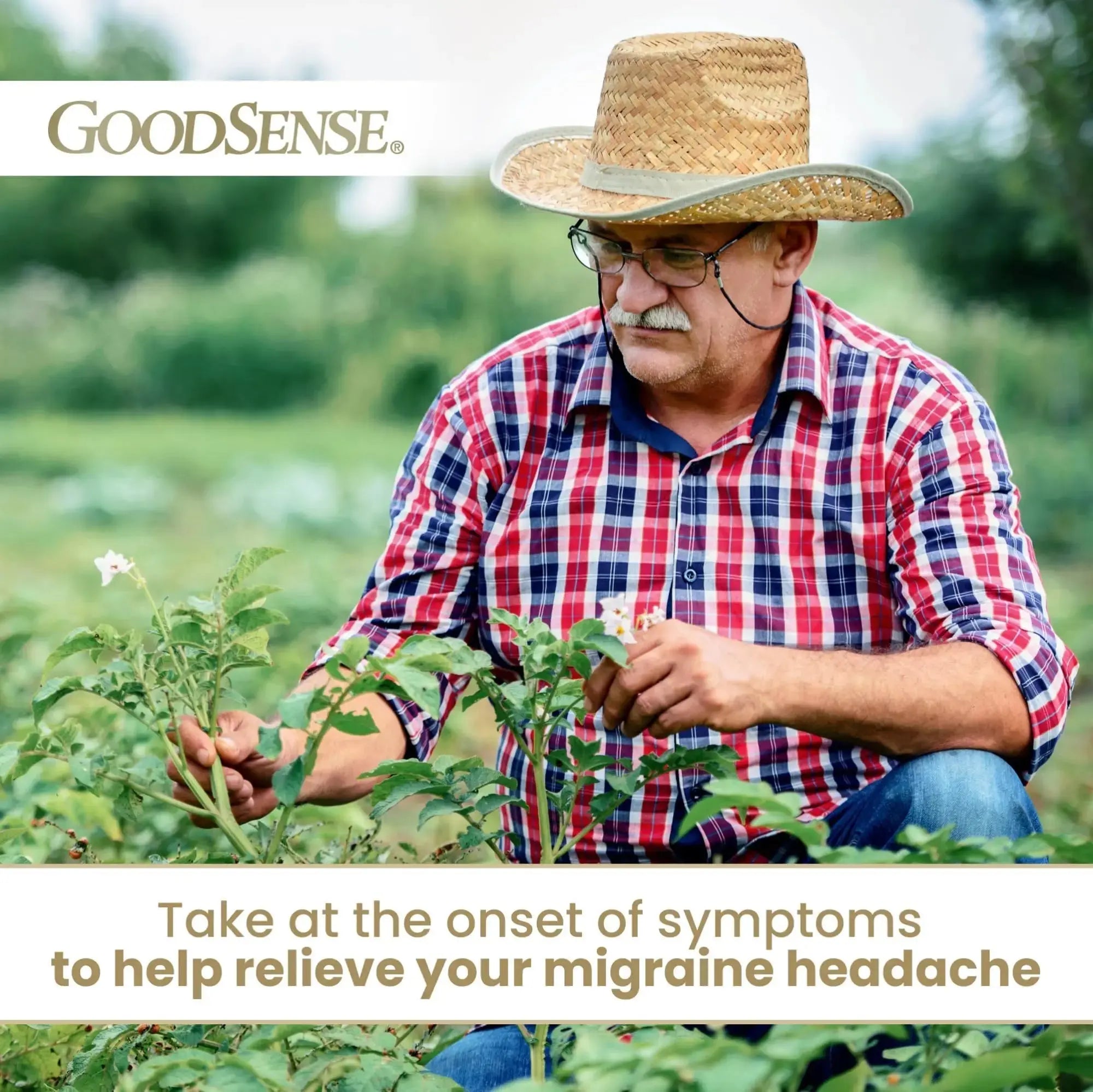 GoodSense Migraine Formula Caplets - Acetaminophen, Aspirin (NSAID) & Caffeine - Migraine Pain Relief, 24 Count GoodSenseAu supplements