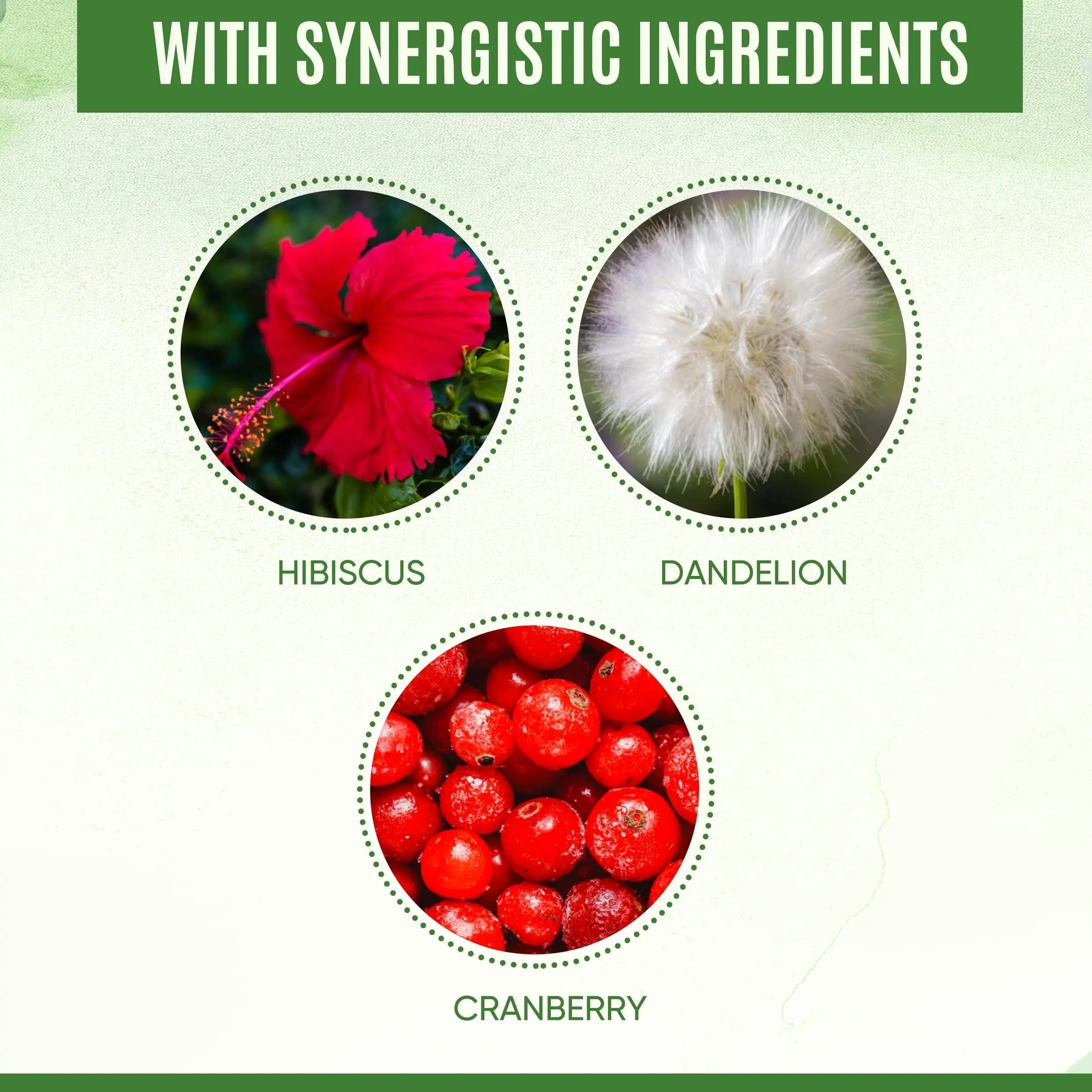 YEVANI 100% Pure D-Mannose Capsules 1000 mg with Cranberry, Hibiscus, and Dandelion Extract, Fast Acting Professional UTI Prevention Formula for Urinary Tract Health and Bladder Support YEVANIAu supplements
