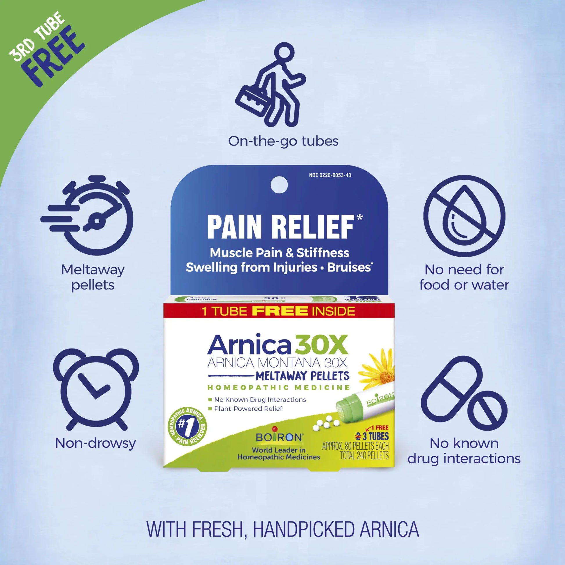 Boiron Arnica Montana 30X Homeopathic Medicine for Relief from Muscle Pain, Muscle Stiffness, Swelling from Injury, and Discoloration from Bruises - 3 Count (240 Pellets) BoironAu supplements