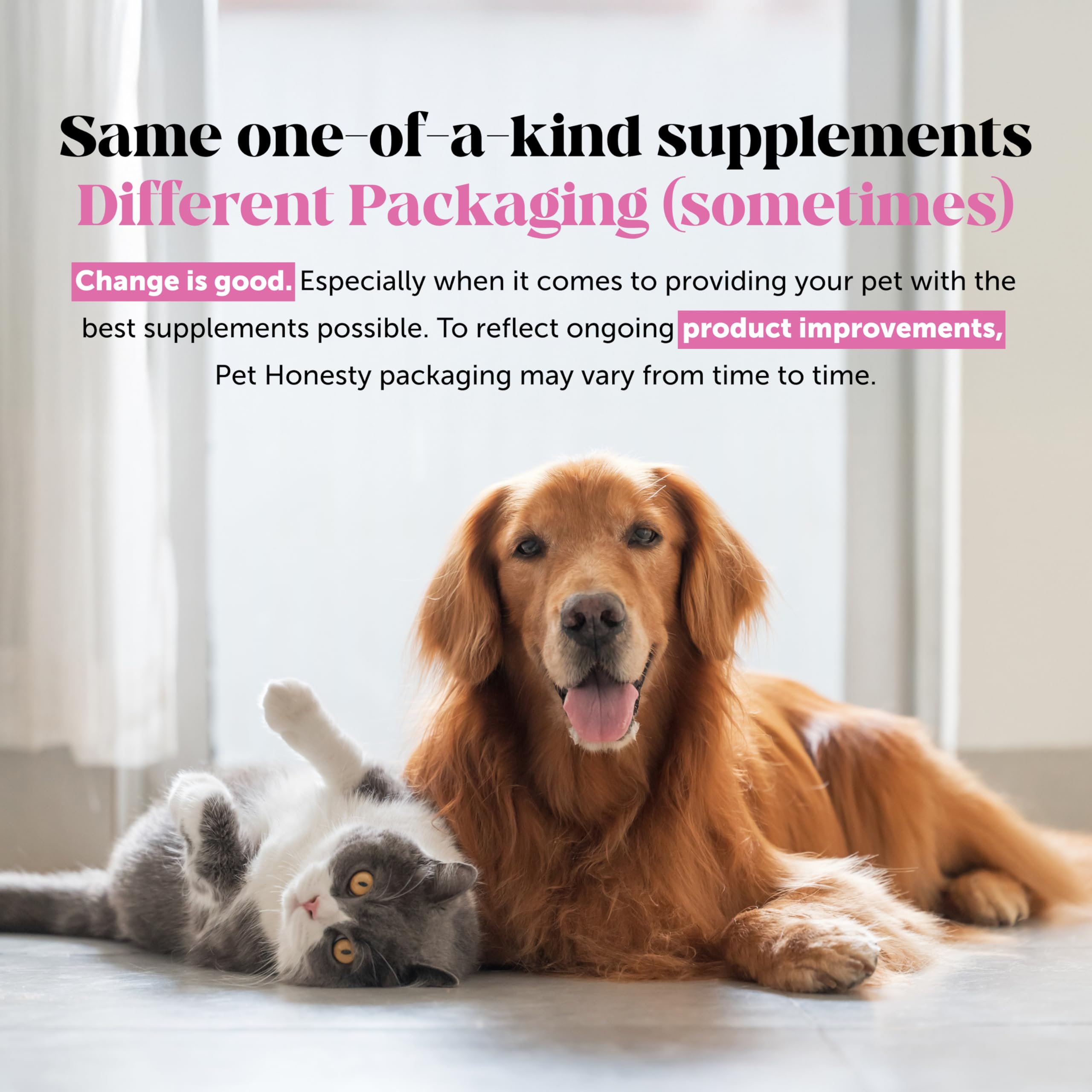 Hemp Hip & Joint Supplement for Dogs - Hemp Oil & Powder - Glucosamine Chondroitin for Dogs, Turmeric, MSM, Green-Lipped Mussel, Supports Mobility, May Reduce Discomfort (Bacon) Pet HonestyAu supplements