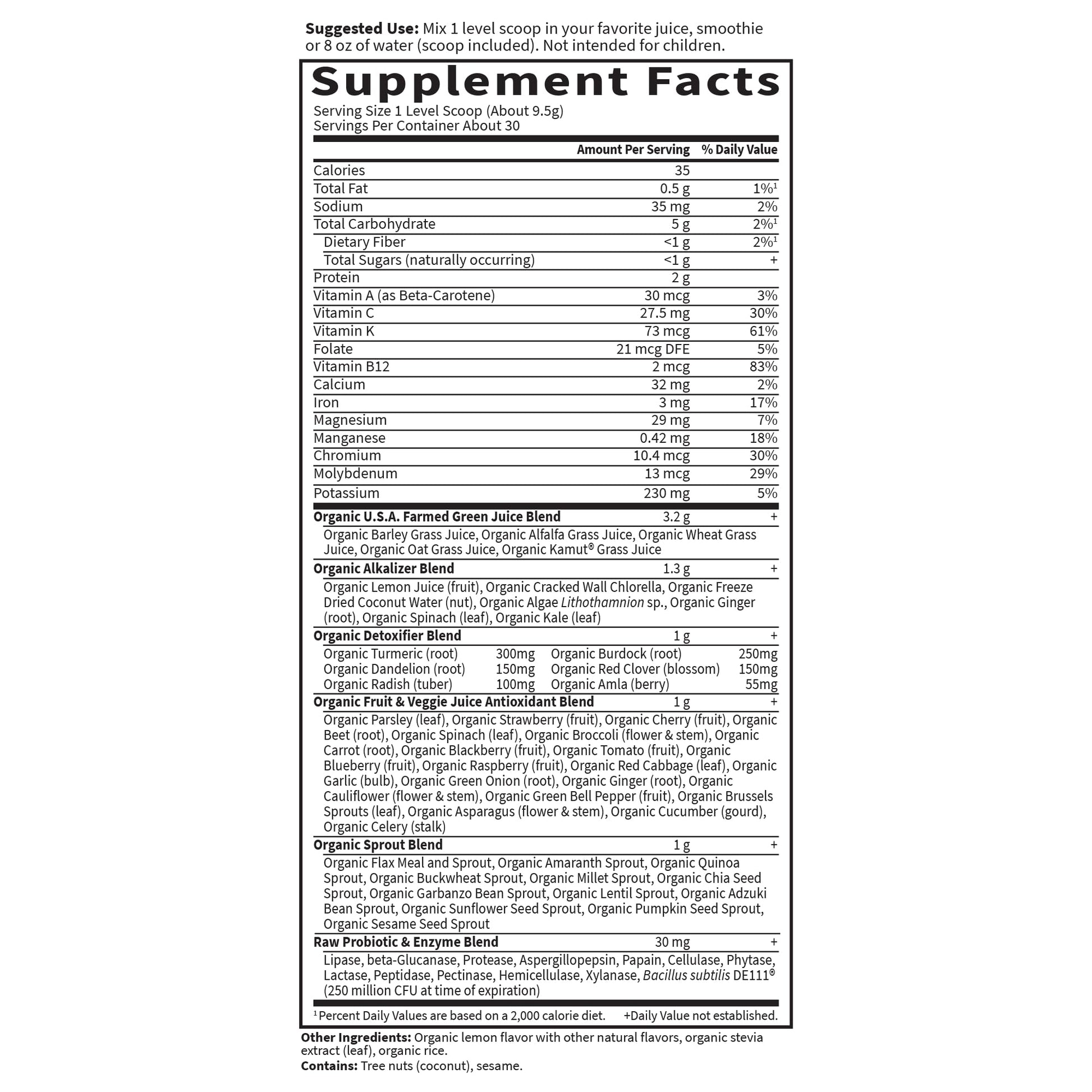 Garden of Life Raw Organic Perfect Food Alkalizer and Detoxifier, Lemon Ginger Flavored Superfood Powder Supplement, 30 Servings Garden of LifeAu supplements