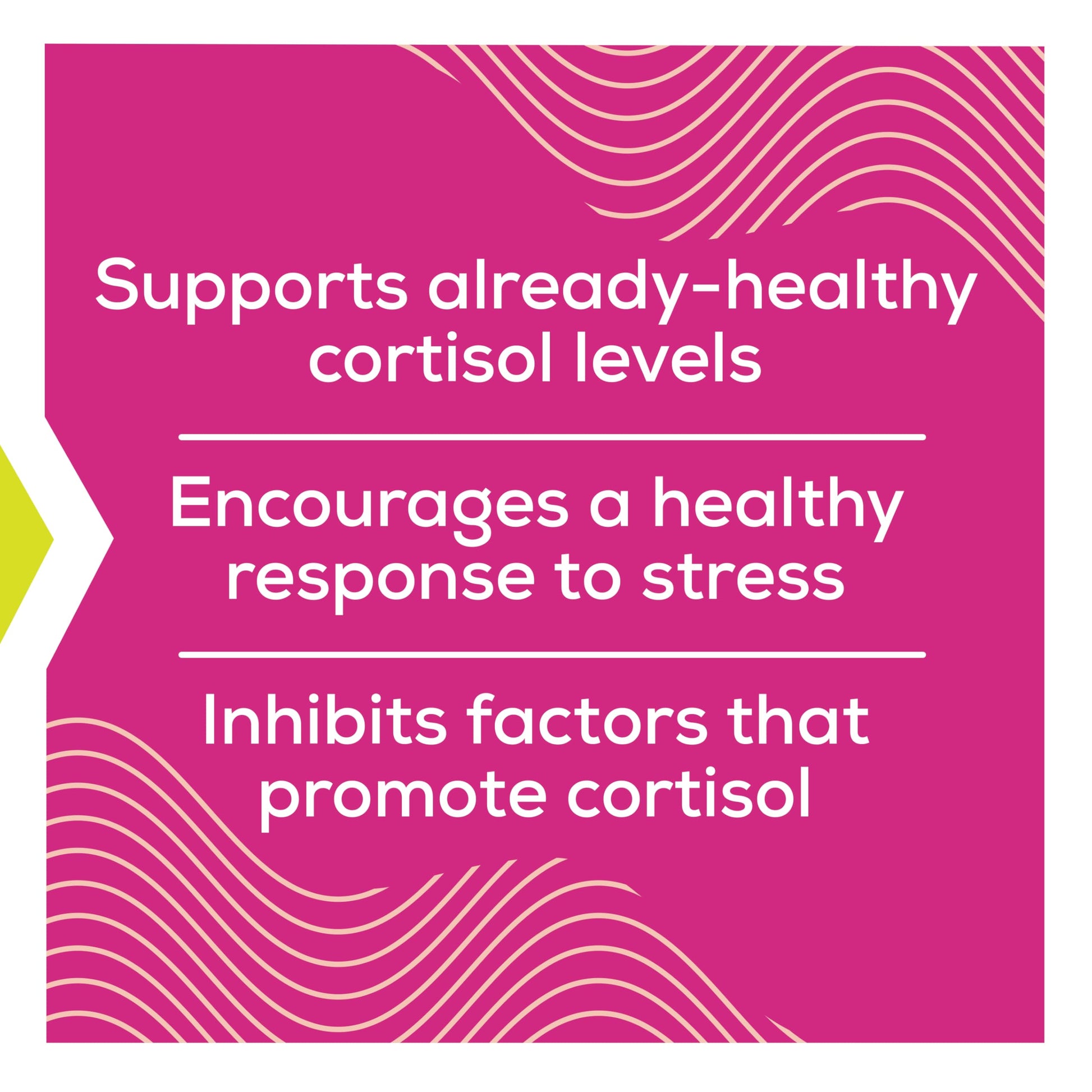 Cortisol Supplements for Women with Ashwagandha, Rhodiola & L-Theanine | Cortisol Reducer Designed for High Stress, Fatigue & Mood Swings | Supports Hormone Balance & Steady Energy | 60 Capsules Terramed Just Think ComfortAu supplements
