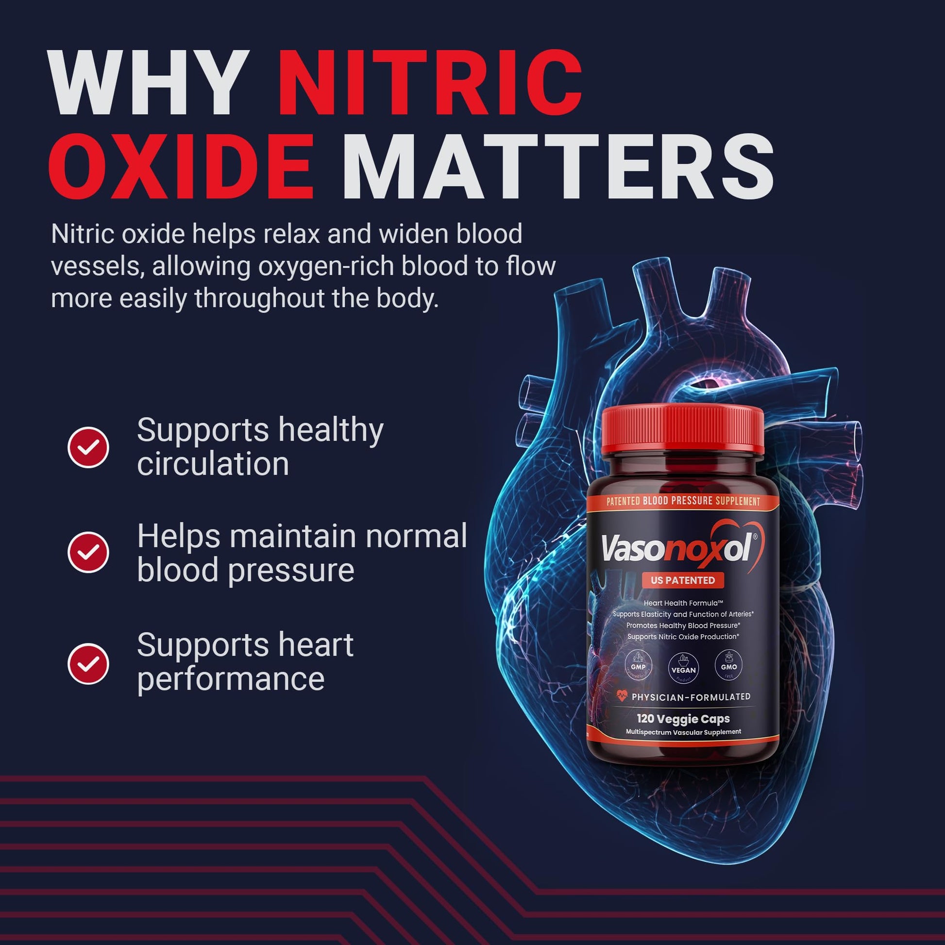 Vasonoxol U.S. Patented Nitric Oxide Supplement for Blood Pressure Support 2880mg - Physician Formulated Vascular Health Formula with L-Arginine & L-Citrulline - Vegan, Non-GMO (120 Capsules) PanoxolAu supplements