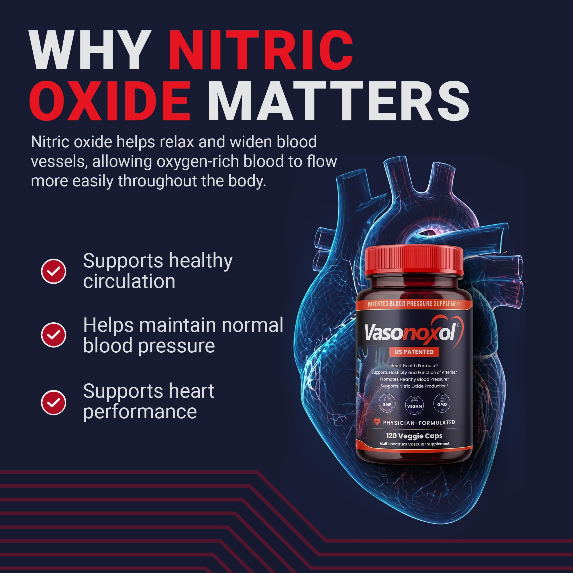 Vasonoxol U.S. Patented Nitric Oxide Supplement for Blood Pressure Support 2880mg - Physician Formulated Vascular Health Formula with L-Arginine & L-Citrulline - Vegan, Non-GMO (120 Capsules) PanoxolAu supplements