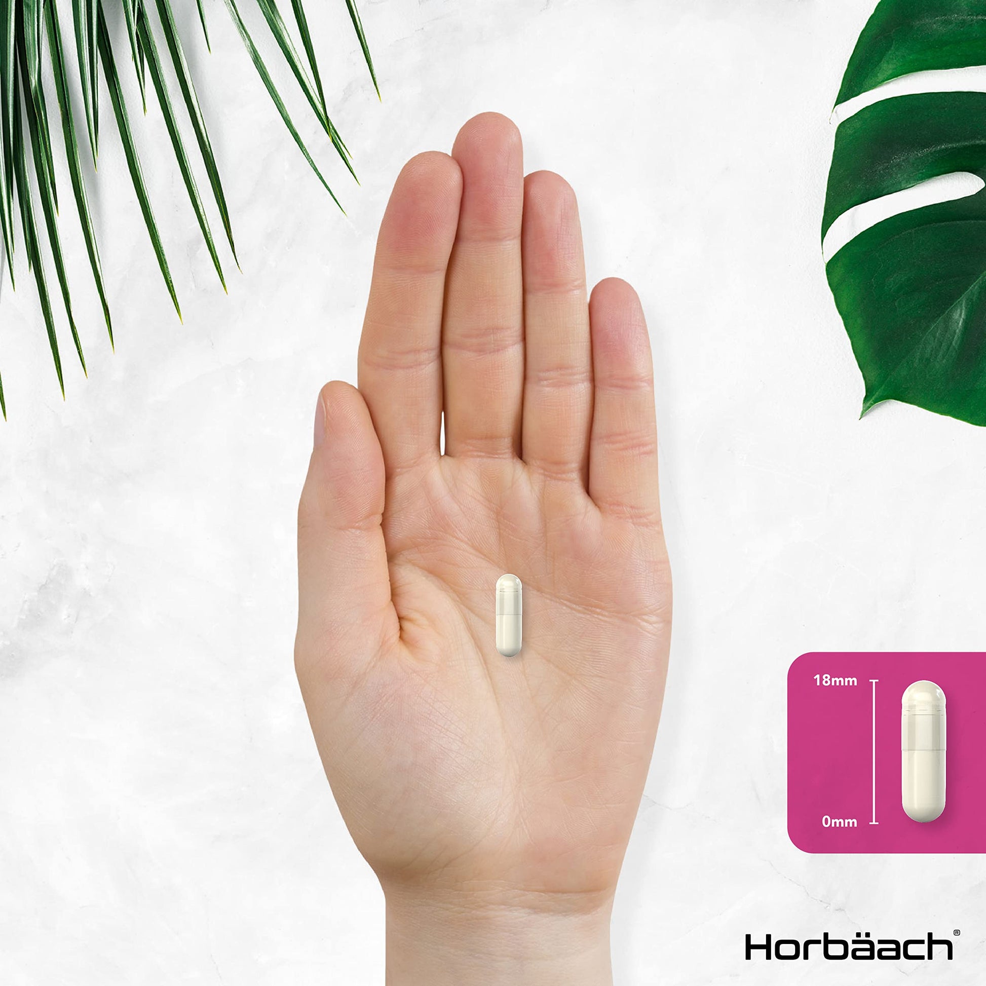 Inositol Supplement for PCOS | 120 Vegan Capsules | Myo-Inositol Complex with Folic Acid HorbäachUS supplements