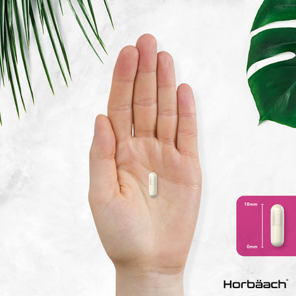 Inositol Supplement for PCOS | 120 Vegan Capsules | Myo-Inositol Complex with Folic Acid HorbäachUS supplements