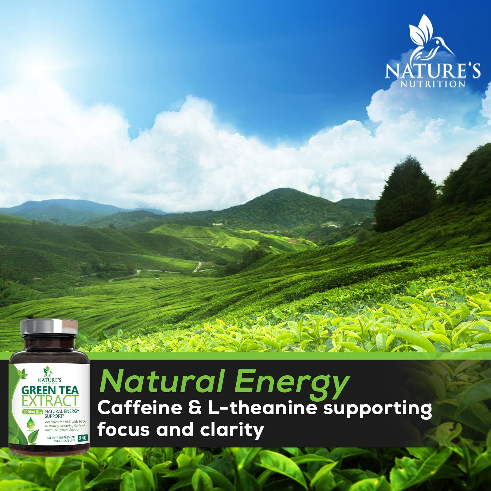 Green Tea Extract Capsules 1000mg 98% Standardized EGCG - 3X Strength for Natural Nature's NutritionAu supplements