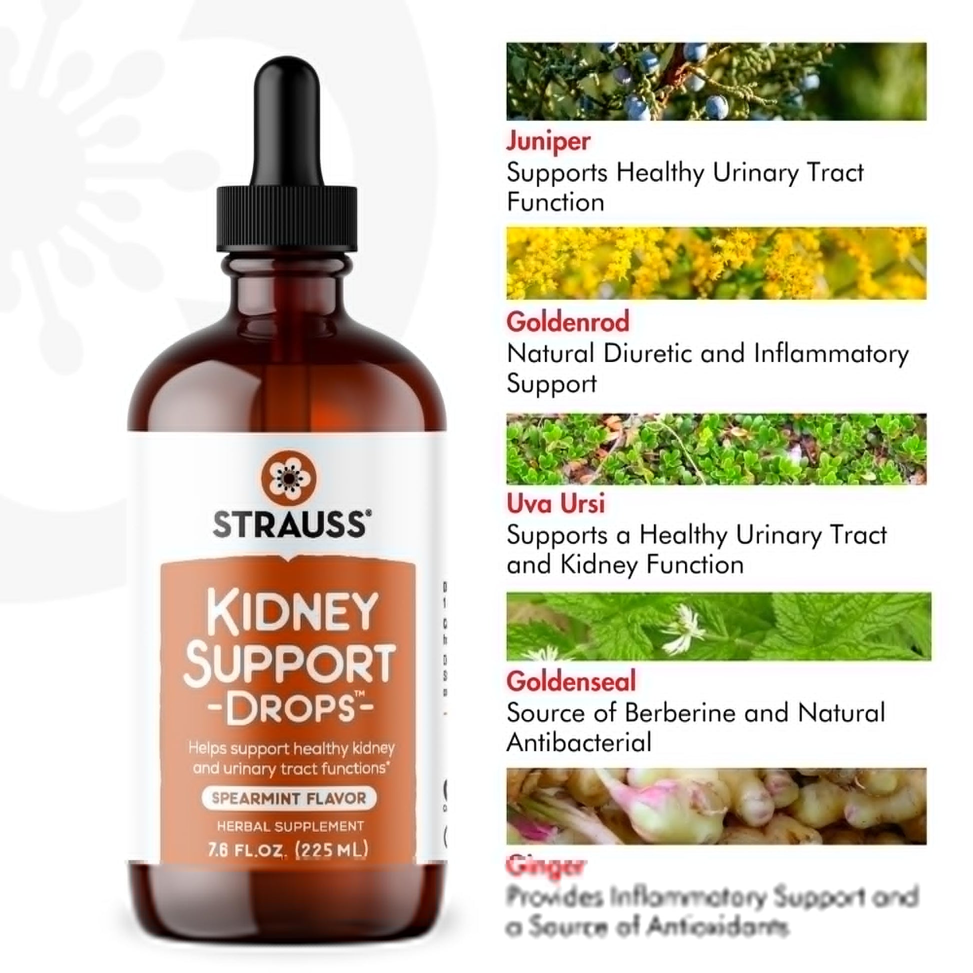Strauss Naturals Kidney Support Drops – Herbal Kidney Support Supplement for Men and Women – Helps with Kidney Health and Urinary Tract Function – Vegan & Non-GMO – Spearmint Flavored – 100 ml Bottle Strauss HeartdropsAu supplements