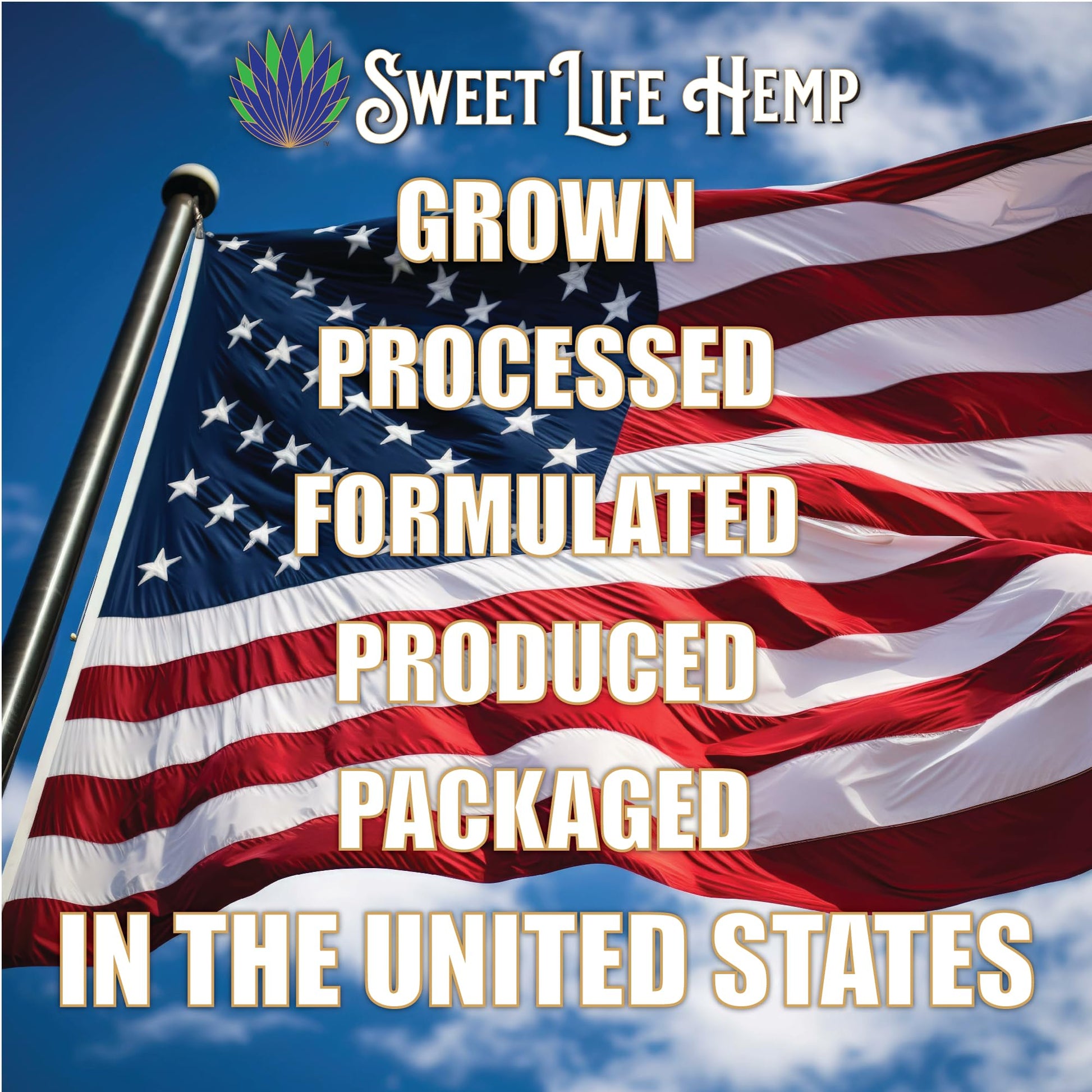 Sweet Life | Hemp Salve Stick | 3000mg | Organic Botanical Balm | Twist-Up Applicator | Small Business | Muscle & Joint Comfort Sweet LifeAu supplements