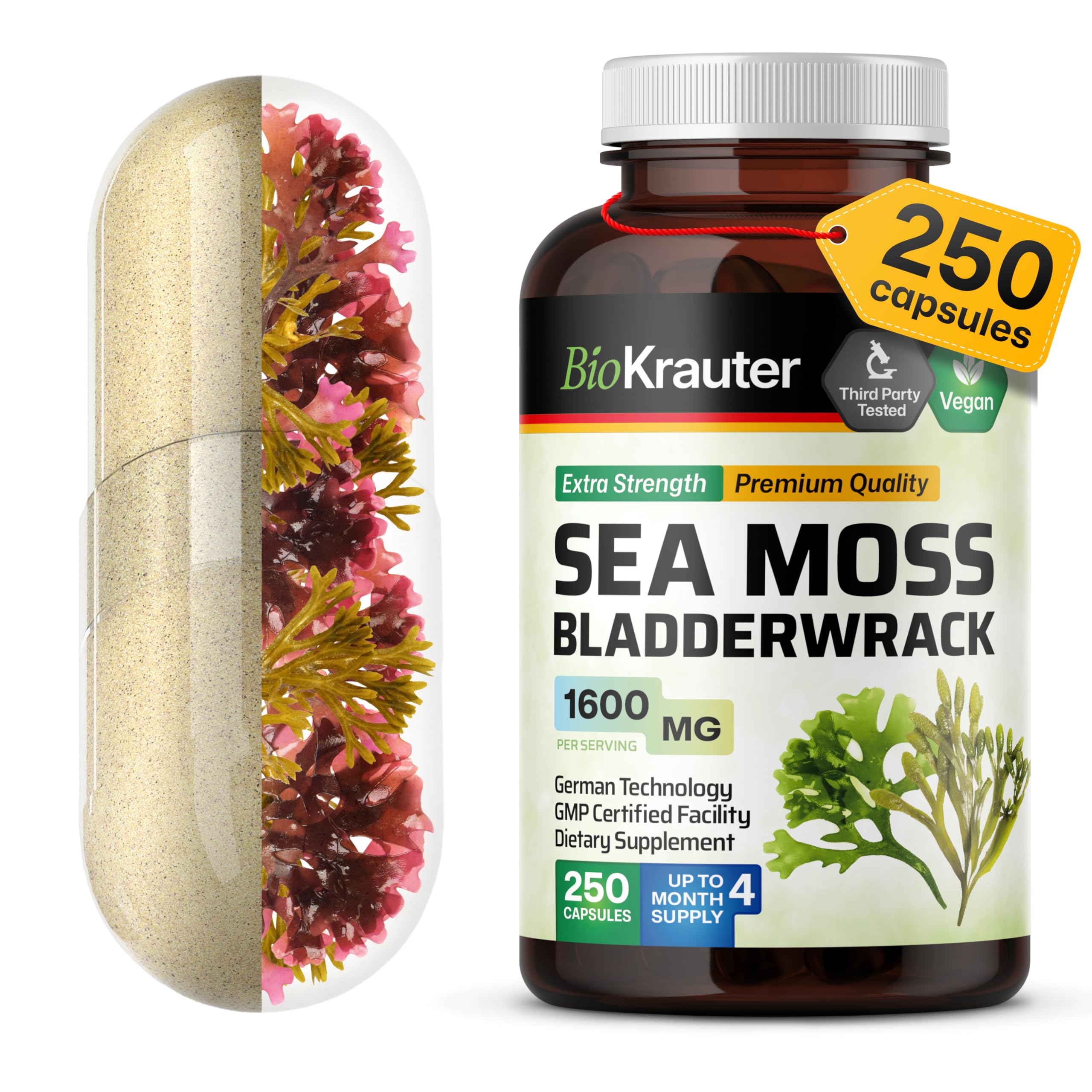 BIO KRAUTER® 2-in-1 Sea Moss for Thyroid Support - Vegan Bladderwrack & Sea Moss Capsules for Women & Men - Natural Сhondrus Сrispus Seaweed Supplement 1600 mg - 125 Days of Supply, Non-GMO BIO KRAUTERAu supplements