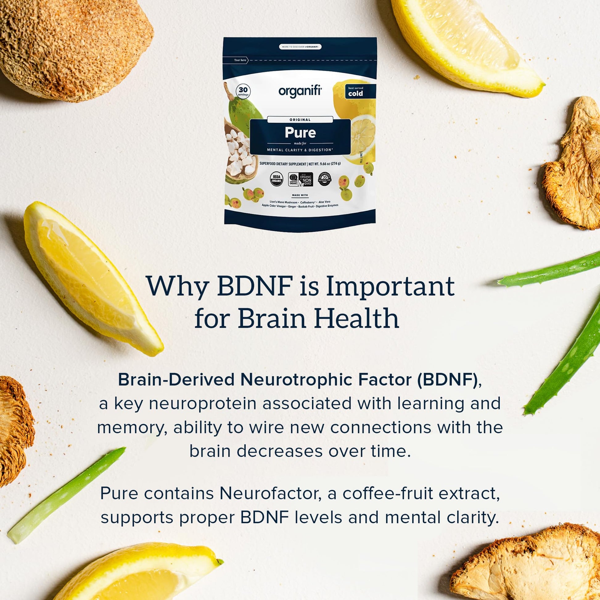 Organifi Pure - Promotes Stimulation in Learning, Memory, Focus, and Clarity - Brain Support with Superfoods - Gluten-Free and Non GMO - Best Served Cold, 30 Servings OrganifiAu supplements
