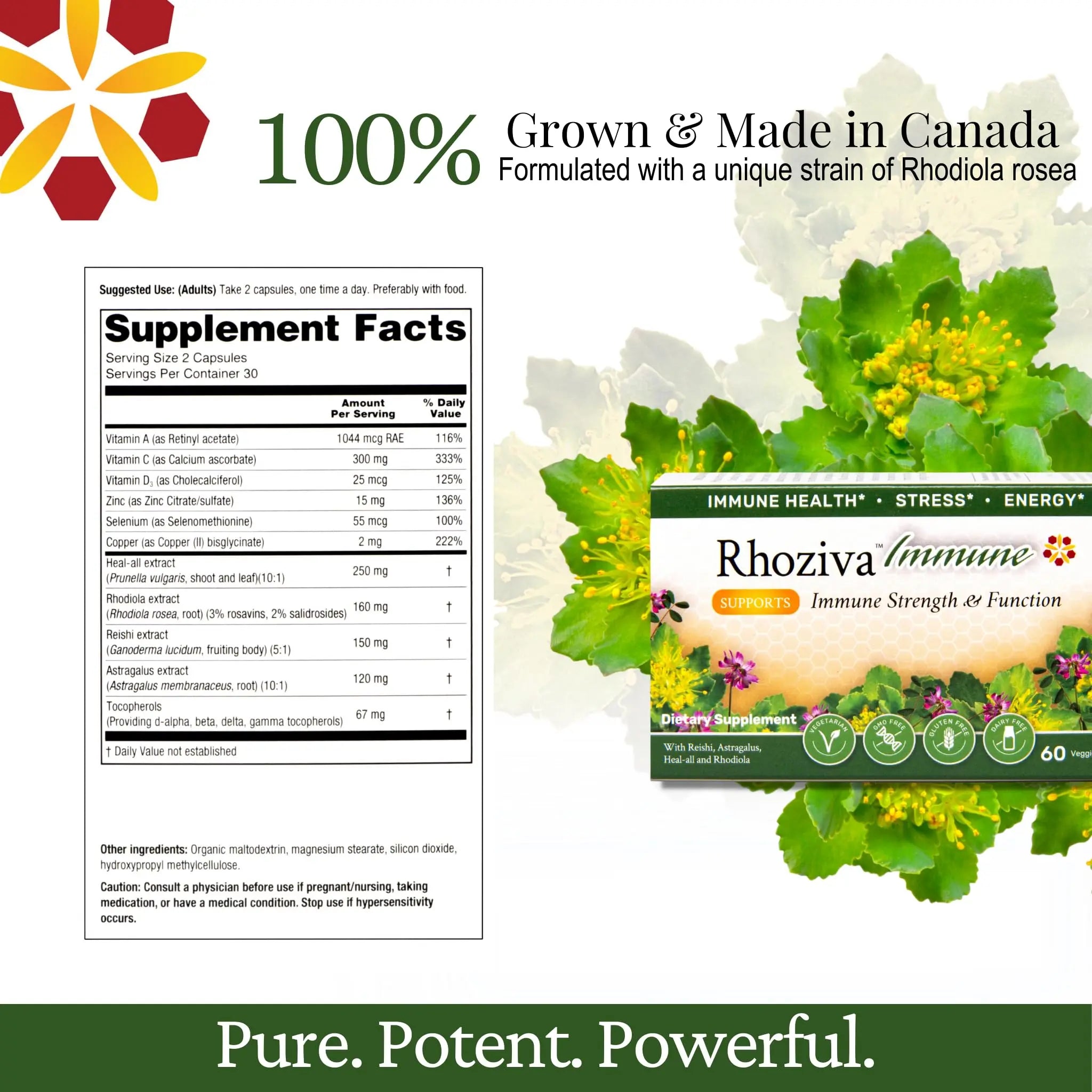 Immune Support, Energy Booster with Vitamin C, D3 and Zinc Supplement, Rhodiola Rosea, Reishi Mushroom Extract, Astragalus, Overall Wellness and Daily Habit - 60 Capsules RhozivaAu supplements