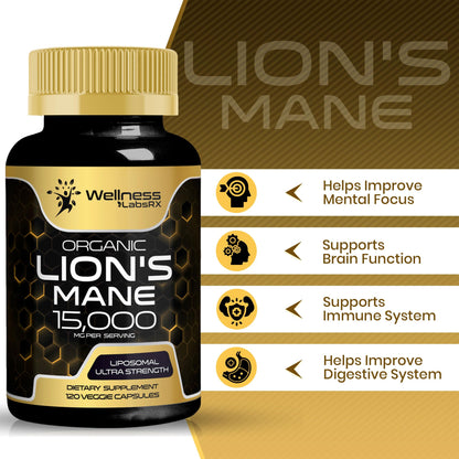 Lions Mane Supplement Capsules - 120 Count - Mushroom Supplement, Brain Supplements WELLNESS LABSRXUS supplements