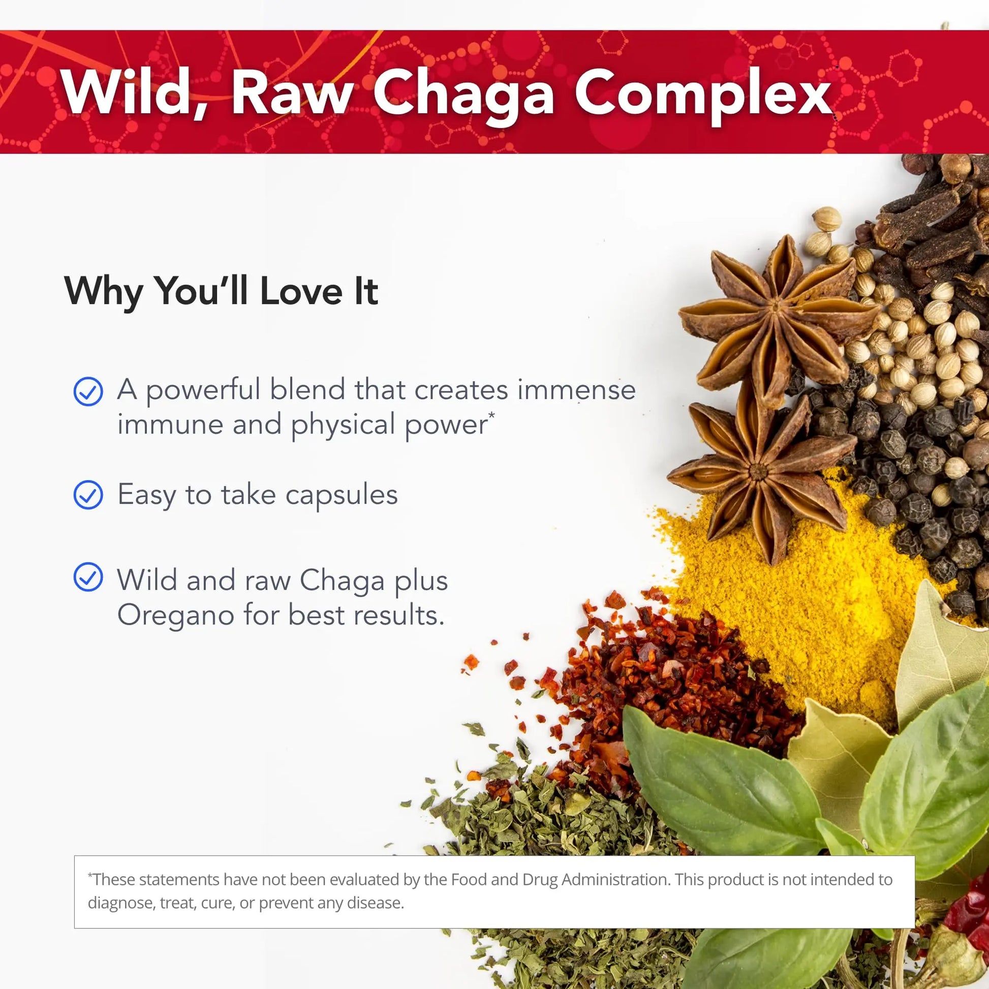 Physician's Strength ChagaStrength - 90 Capsules - Wild, Raw Chaga Complex - Immune & Physical Support - Non-GMO - 90 Servings Physician's Strengthnz supplements