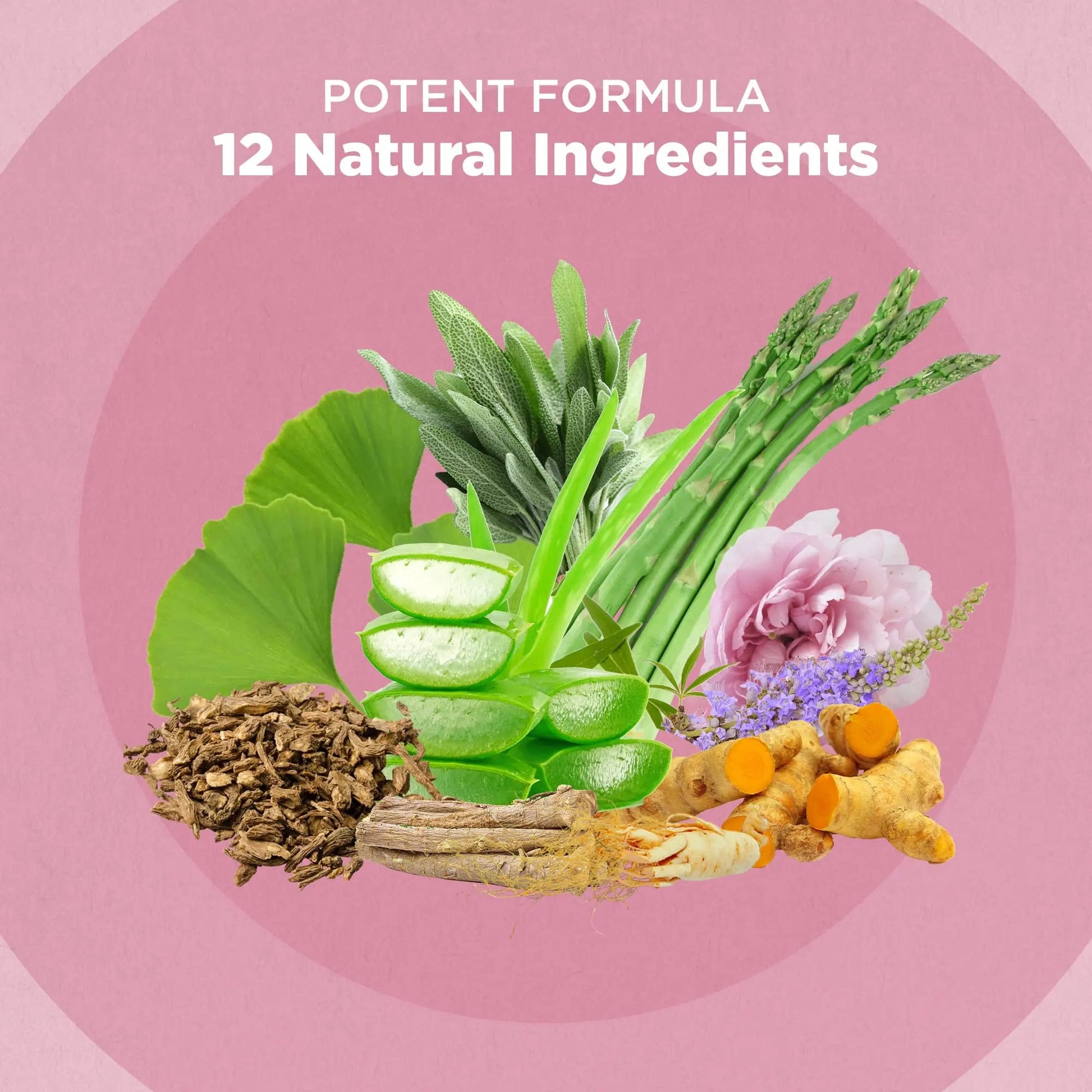 Strength & Spices Hormone Balance 100% Natural Estrogen Supplement – 12 Ingredients w Dong Quai - 60 Vegan UK Made 1000mg Capsules – Fertility and Menstrual Comfort STRENGTH & SPICES100% Natural Vegan Food SupplementsAu supplements
