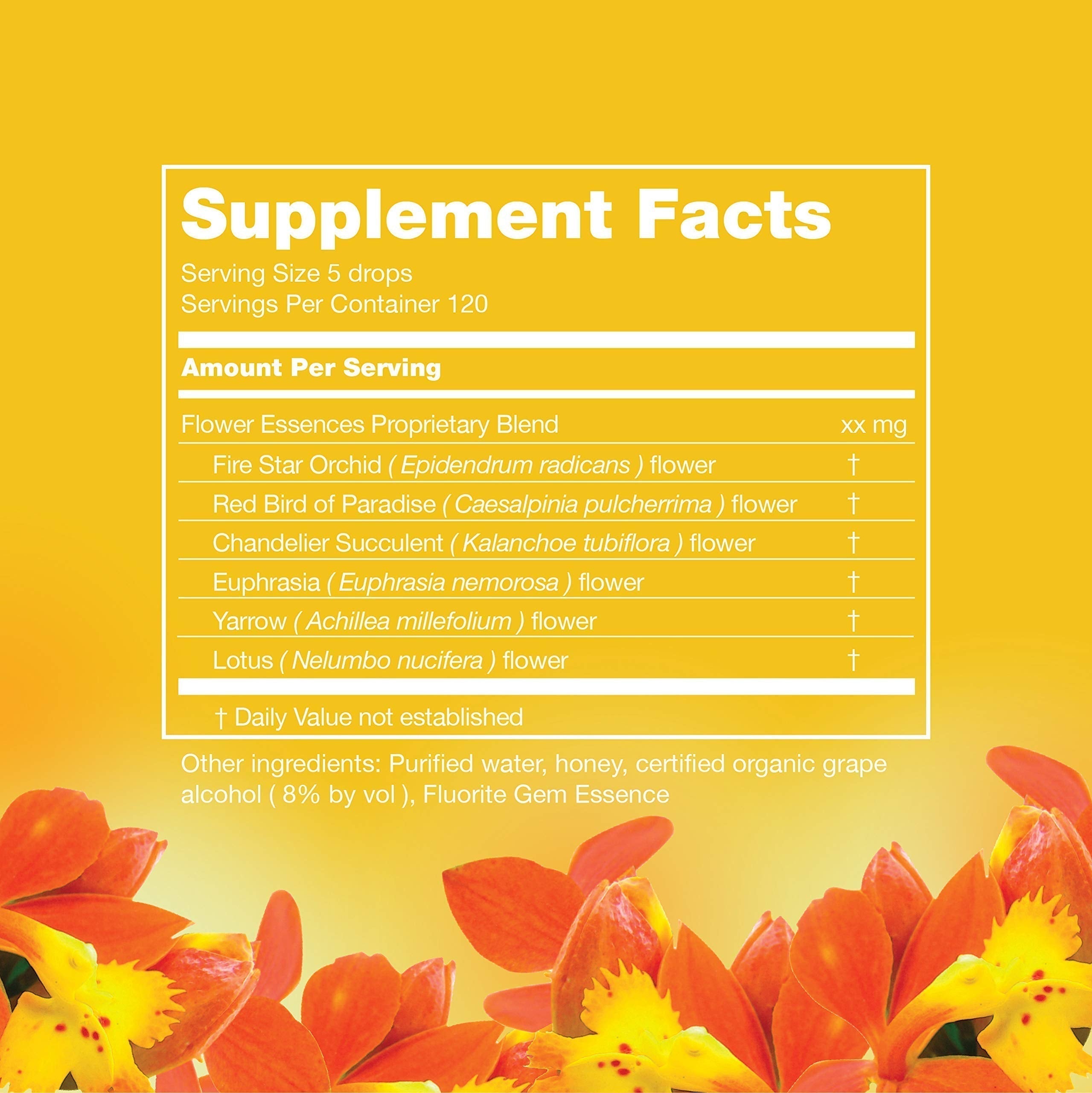 LOTUSWEI Inspired Action Flower Essence Elixir – Enhance Focus, Concentration, Mental Clarity & Creativity – Flower Remedy Supplement LOTUSWEIAu supplements
