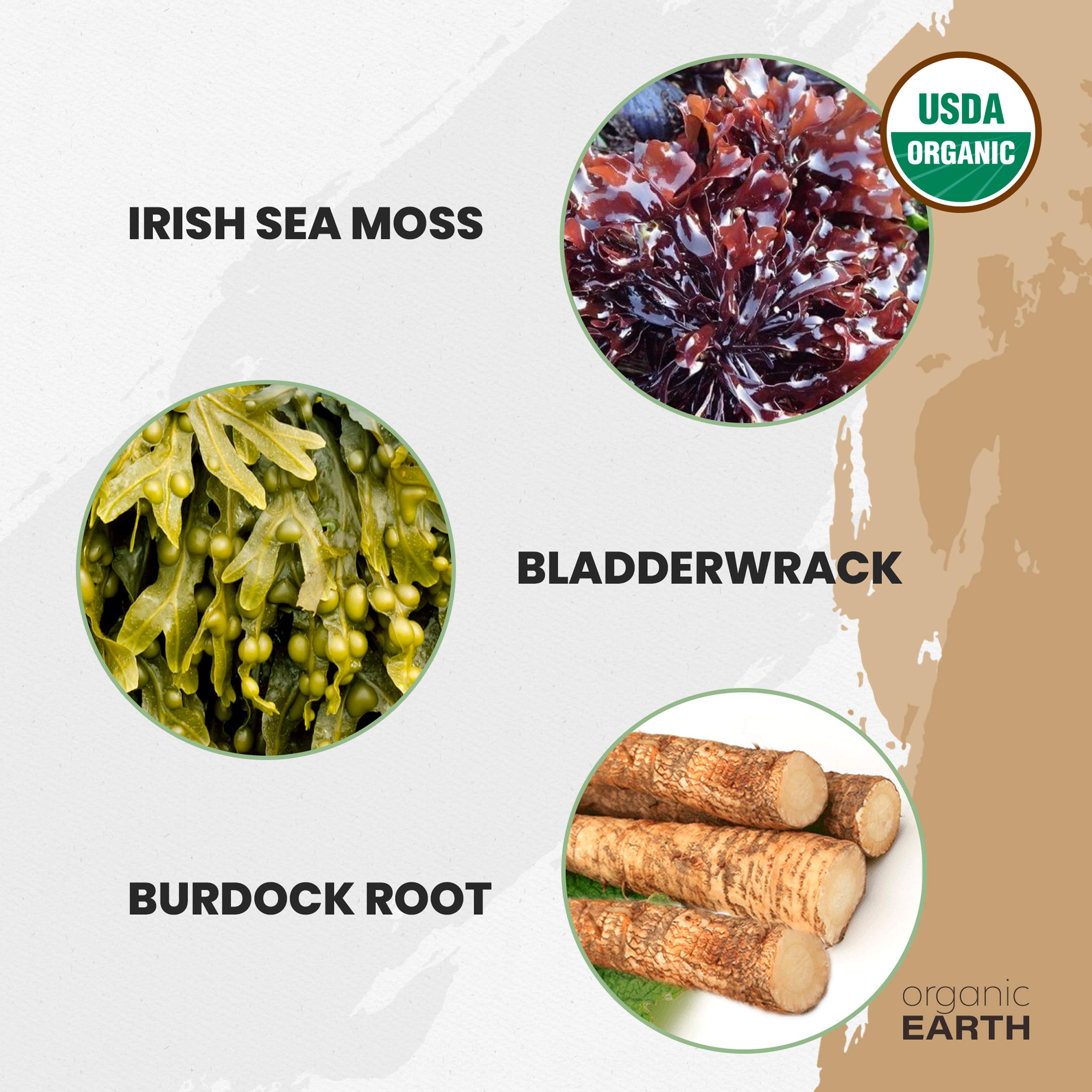 Organic Earth Irish Sea Moss Powder 8oz - Wildcrafted Sea Moss Organic with Bladderwrac Organic EarthUS supplements