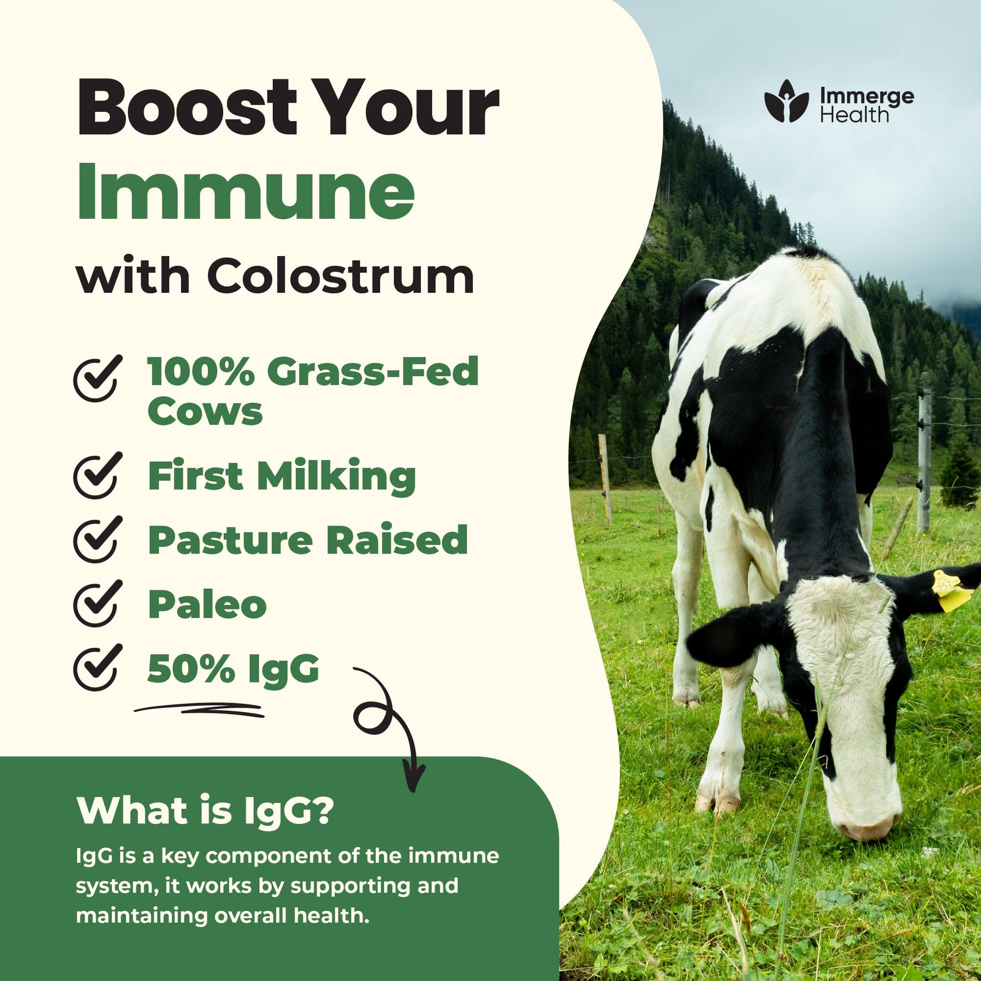 Immerge Health Super Colostrum Powder (60 Servings) – Premium Bovine Colostrum Supplement for Gut Health, Bloating & Immune Support – High IgG, 100% Grass Fed First Milking, Unflavored, Made in USA ImmergeHealth.comAu supplements