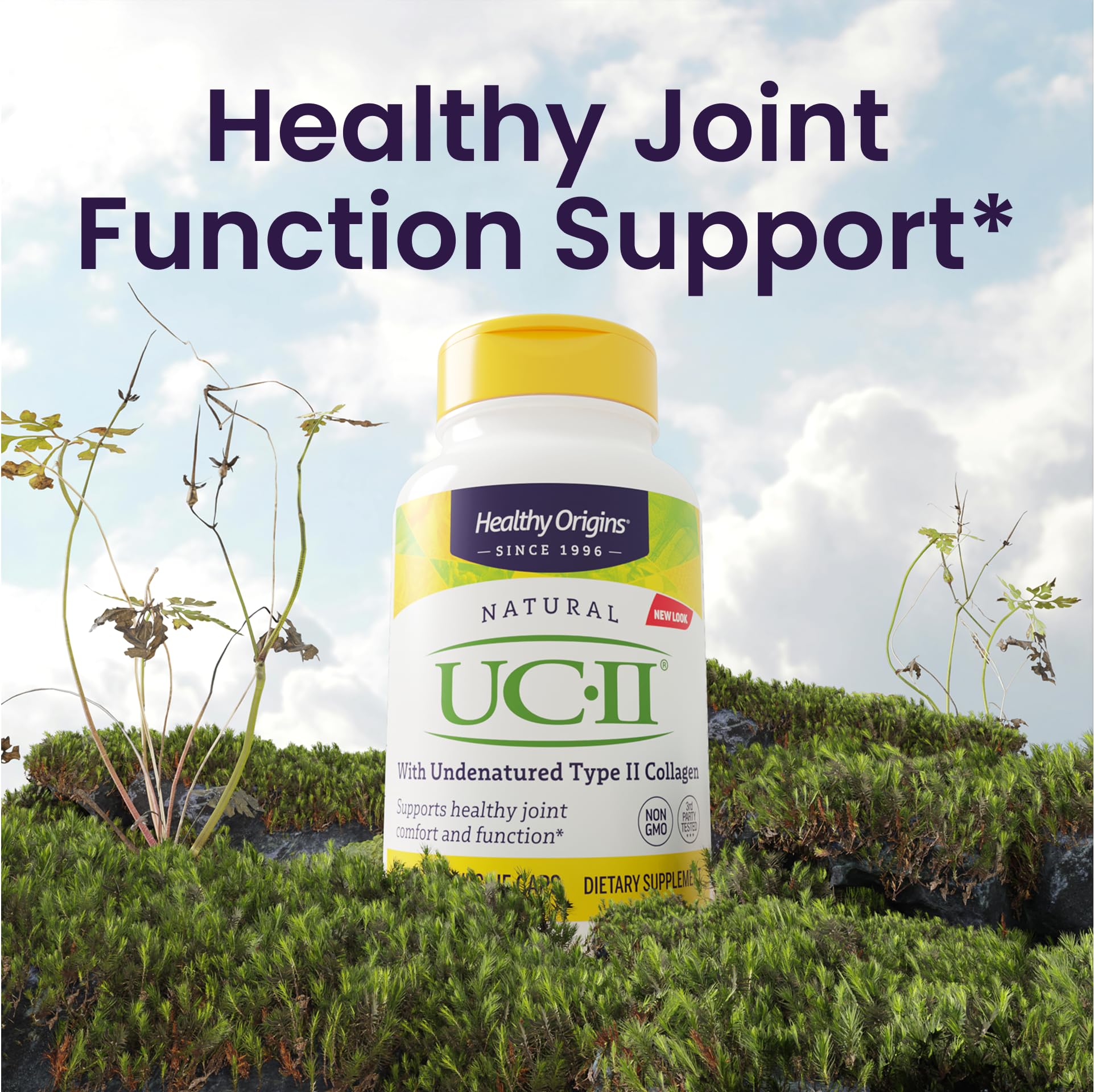 Healthy Origins UC-II 40 mg (Undenatured Type II Collagen, Non-GMO, Gluten Free, Joint Support), 120 Veggie Caps Healthy OriginsAu supplements
