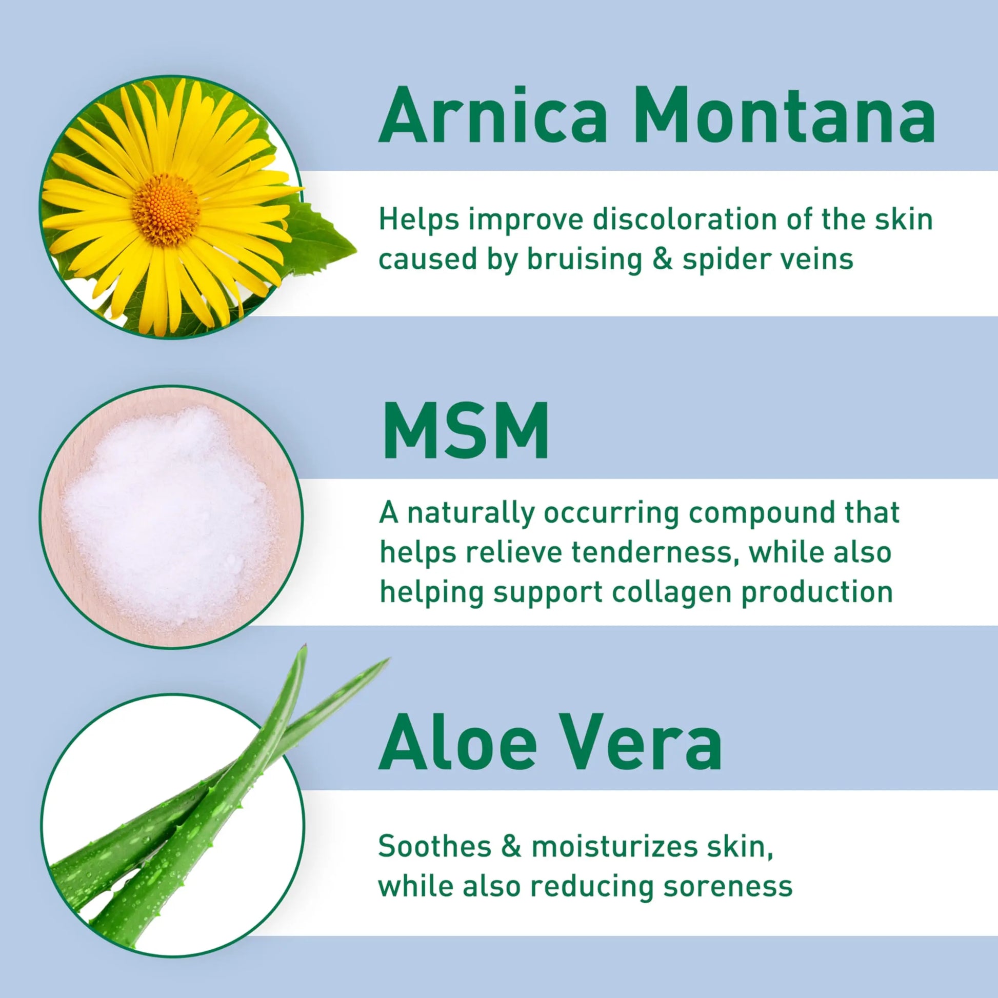 PROcure Arnica & MSM Bruise Remedy Gel – Paraben-Free, Unscented Arnica Montana Gel for Bruising, Spider Veins & Skin Discoloration – 2 Pack PROcureAu supplements
