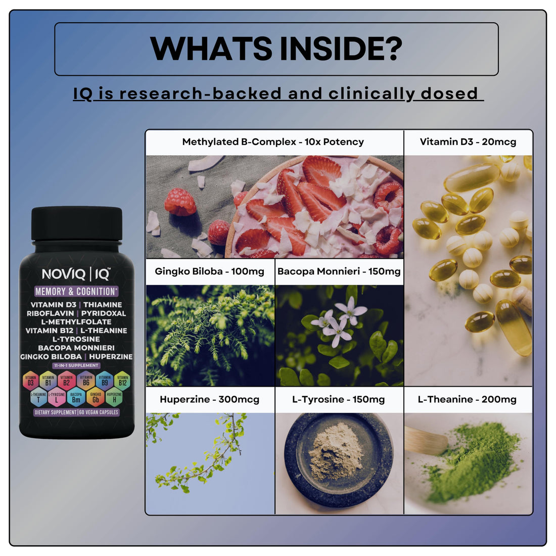 11-in-1 Supplement: Supports Memory & Cognition - 100mg Ginkgo 150mg Bacopa 300mcg Huperzine 200mg L-Theanine 150mg L-Tyrosine & Bioactive B-Complex NOVIQUS supplements