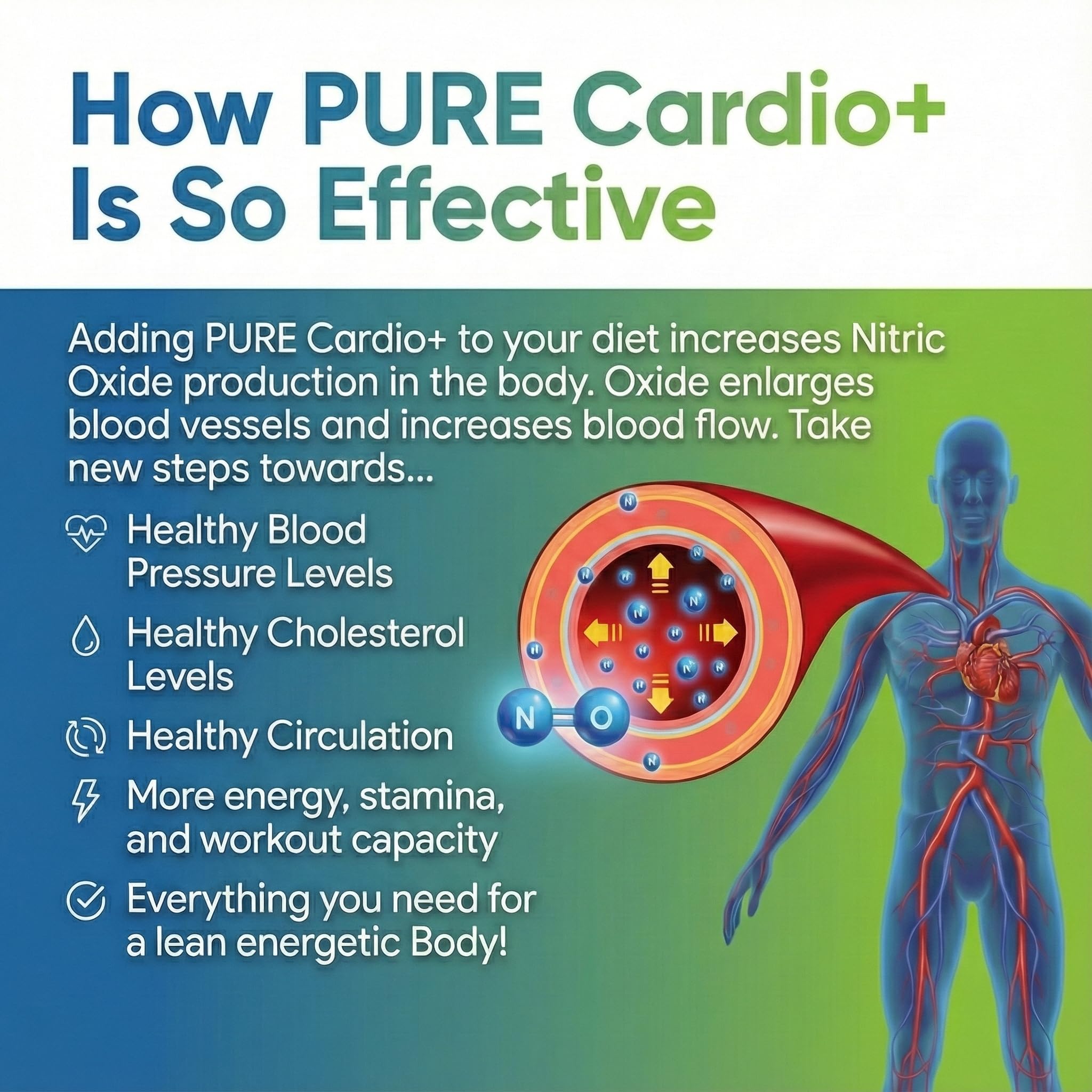 PURE® Cardio+ Nitric Oxide Heart & Circulation Support - 5000mg L-Arginine & 1000mg L-Citrulline - Lemon Lime, 30 Servings Powder, 375 Grams - CoQ10 Beet Root - High Potency Cardiovascular Formula PUREAu supplements
