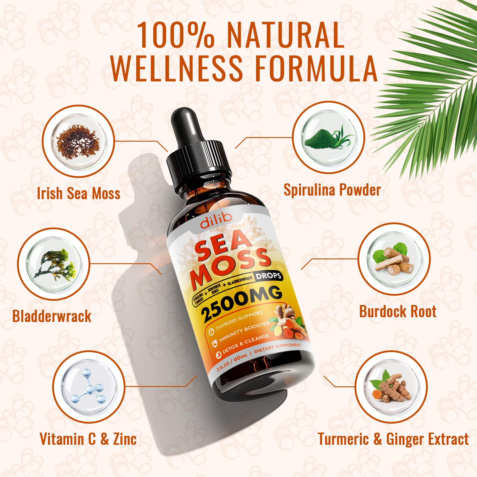 Sea Moss Liquid Drops: Organic Irish Sea Moss 2500mg with Turmeric, Bladderwrack dilibUS supplements