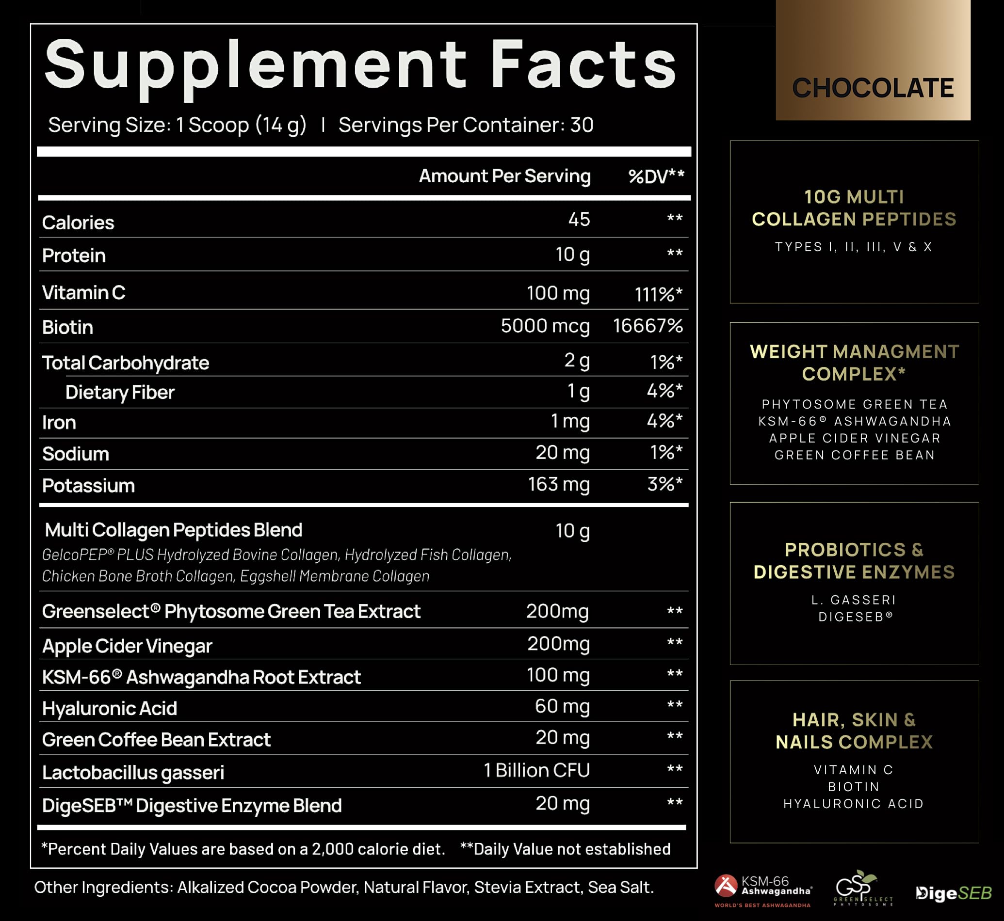 TERRA ELMNT Premium Chocolate Multi Collagen Powder for Women Weight Management TERRA ELMNTUS supplements