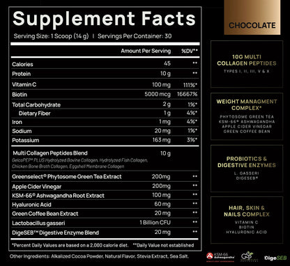 TERRA ELMNT Premium Chocolate Multi Collagen Powder for Women Weight Management TERRA ELMNTUS supplements