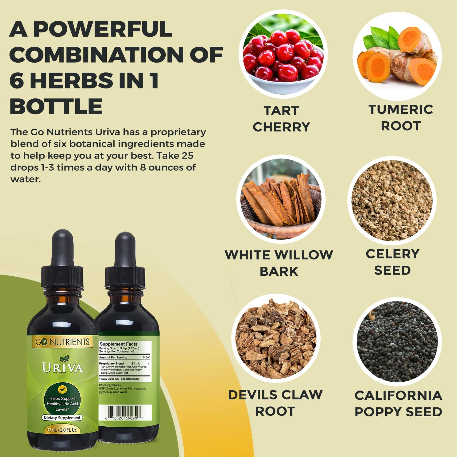 Go Nutrients Uriva Advanced Uric Acid Flush Cleanse with Tart Cherry Extract Celery Seed Extract Turmeric Go NutrientsAu supplements