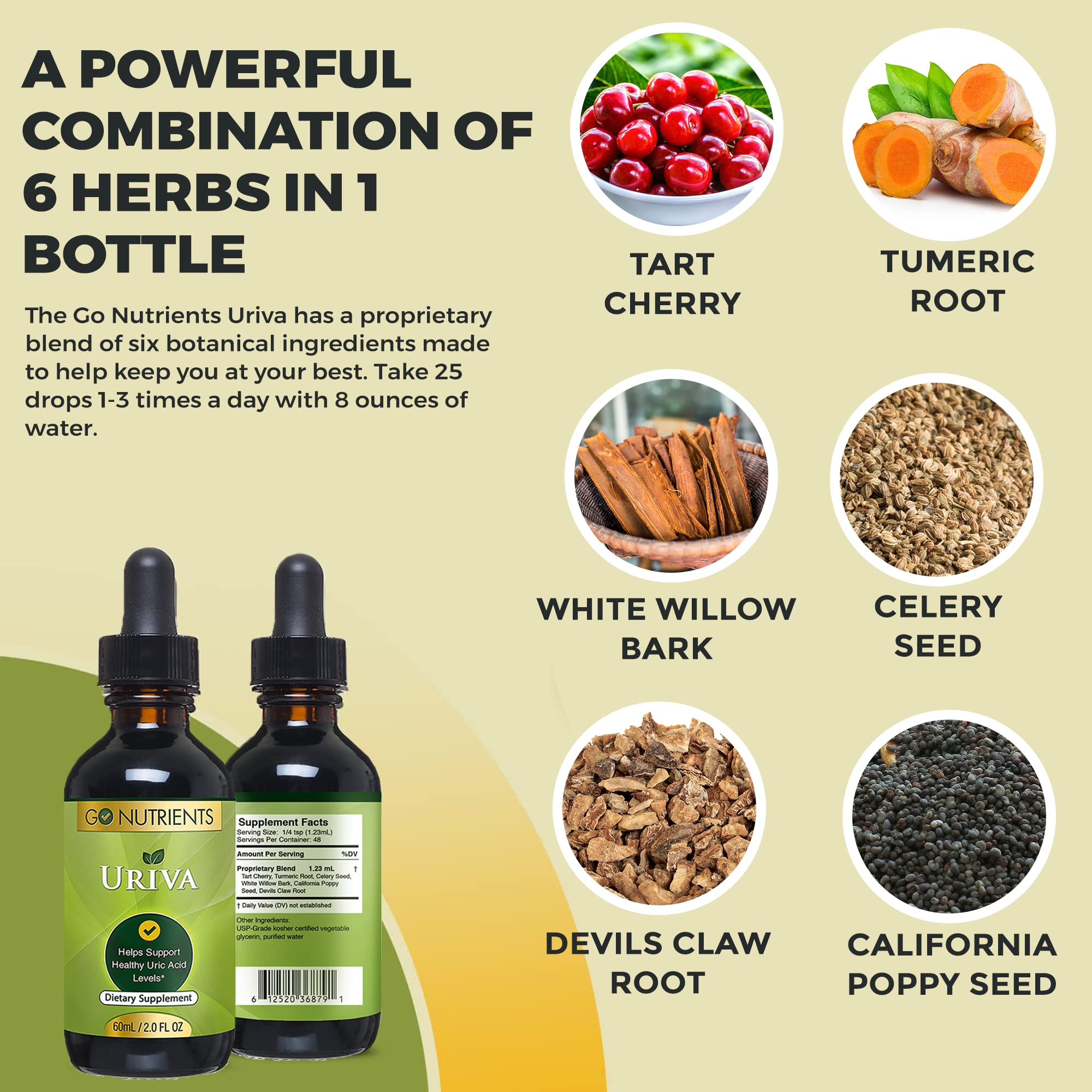 Go Nutrients Uriva Advanced Uric Acid Flush Cleanse with Tart Cherry Extract Celery Seed Extract Turmeric Go NutrientsAu supplements