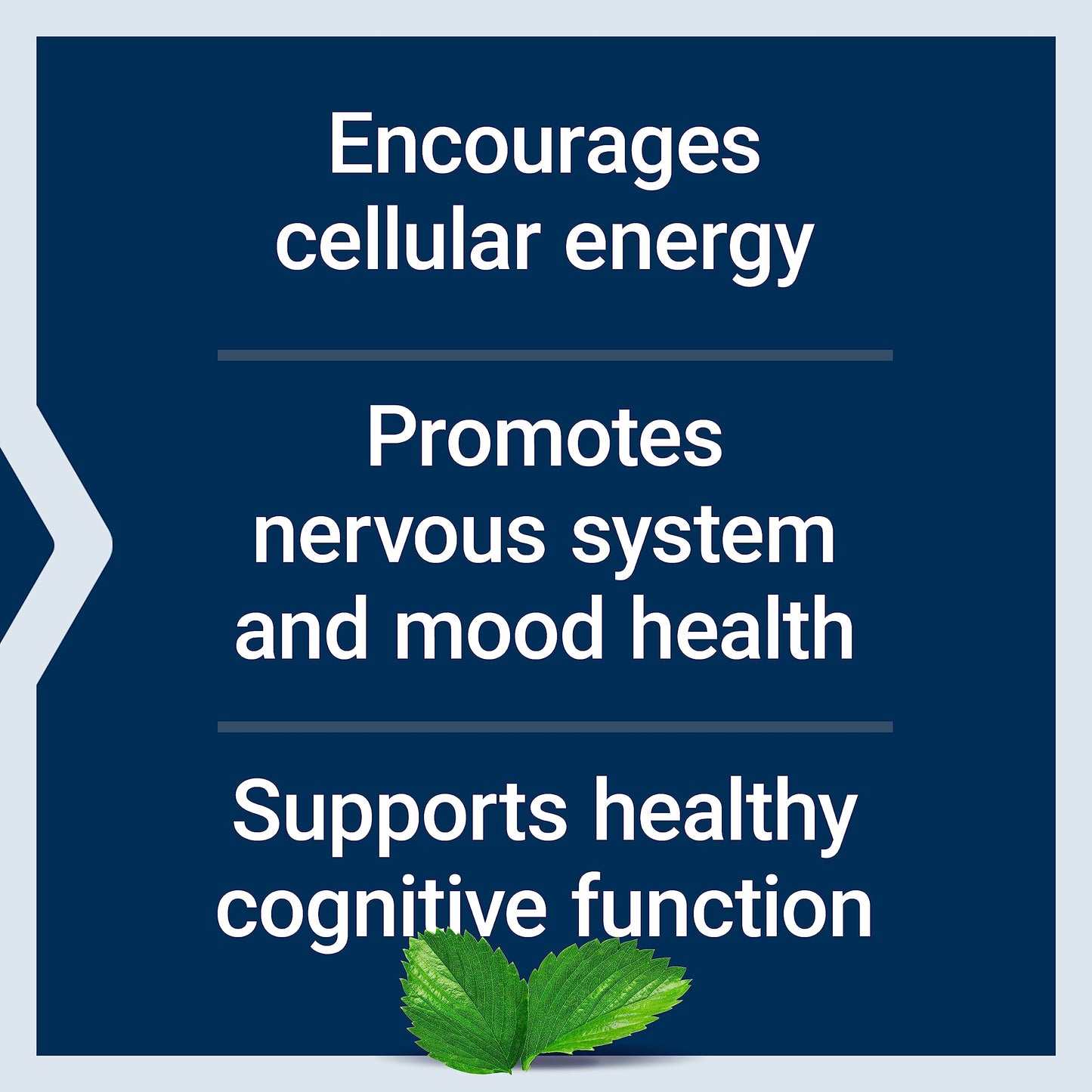 Life Extension Acetyl-L-Carnitine, Acetyl-L-Carnitine, vitamin C, Brain, mood & nerve health Life ExtensionUS supplements