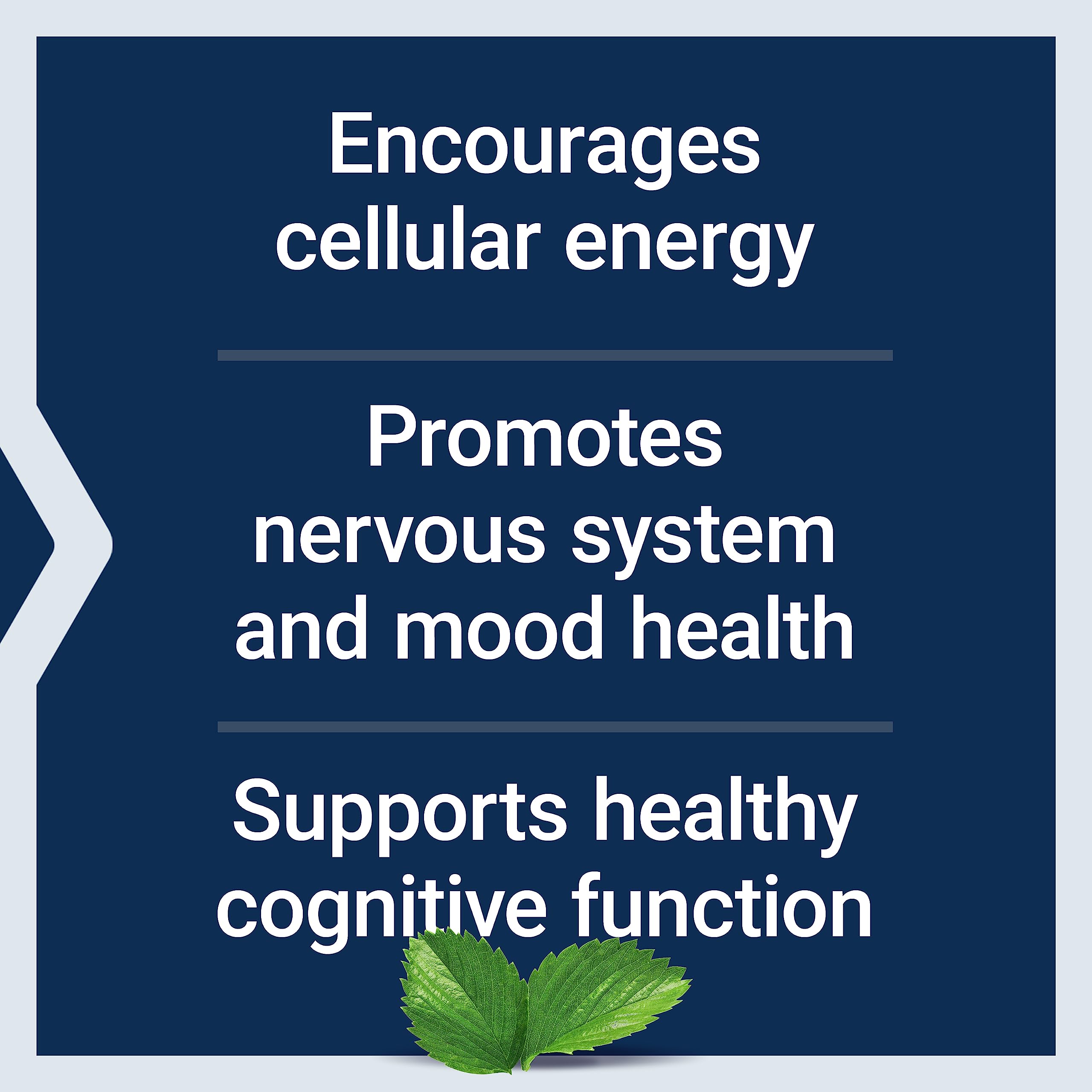 Life Extension Acetyl-L-Carnitine, Acetyl-L-Carnitine, vitamin C, Brain, mood & nerve health Life ExtensionAu supplements