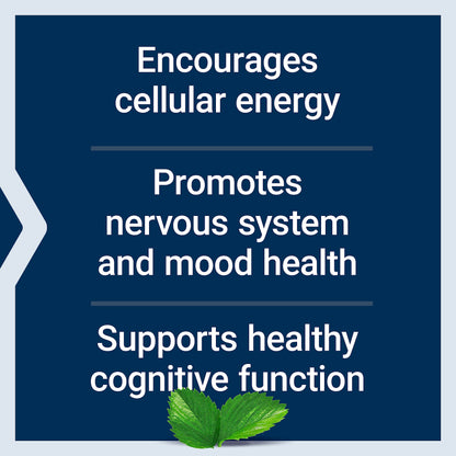 Life Extension Acetyl-L-Carnitine, Acetyl-L-Carnitine, vitamin C, Brain, mood & nerve health Life ExtensionUS supplements