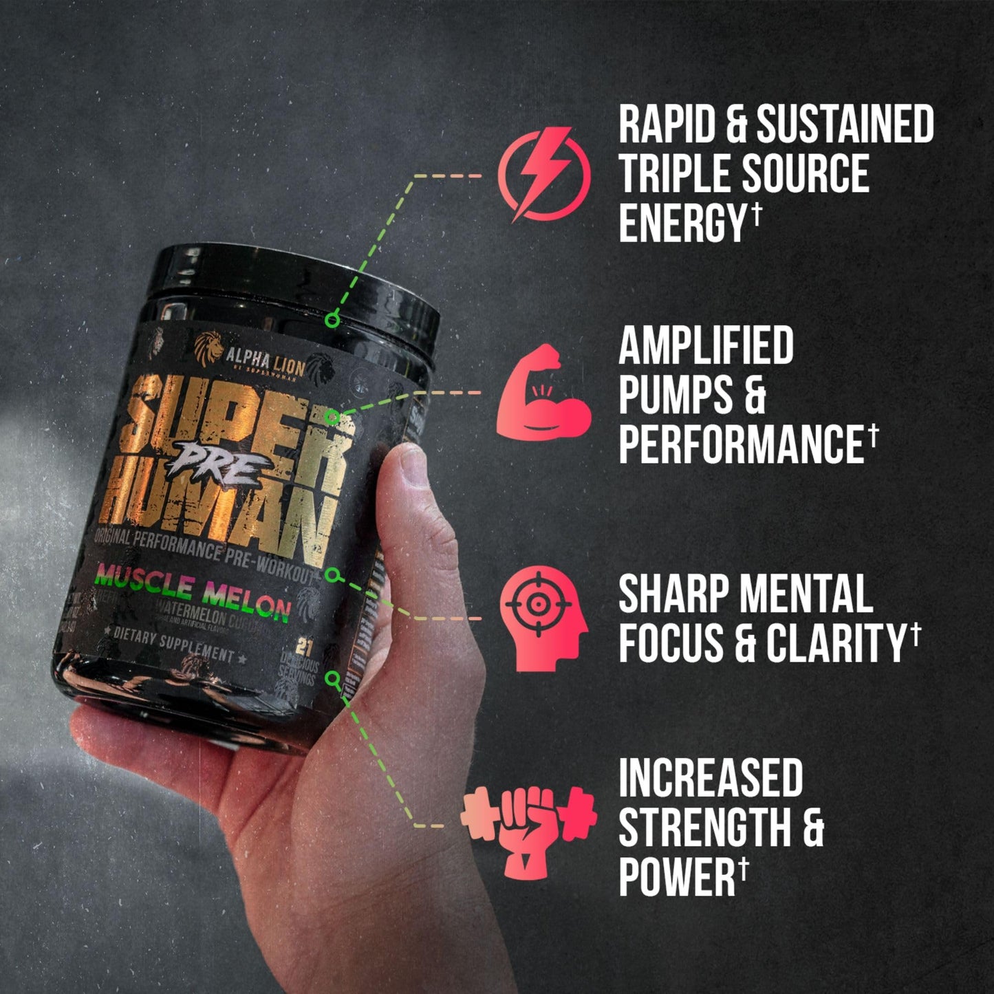 ALPHA LION Superhuman Pre Workout Powder & Post Workout Recovery Bundle, Sustained ALPHA LIONUS supplements
