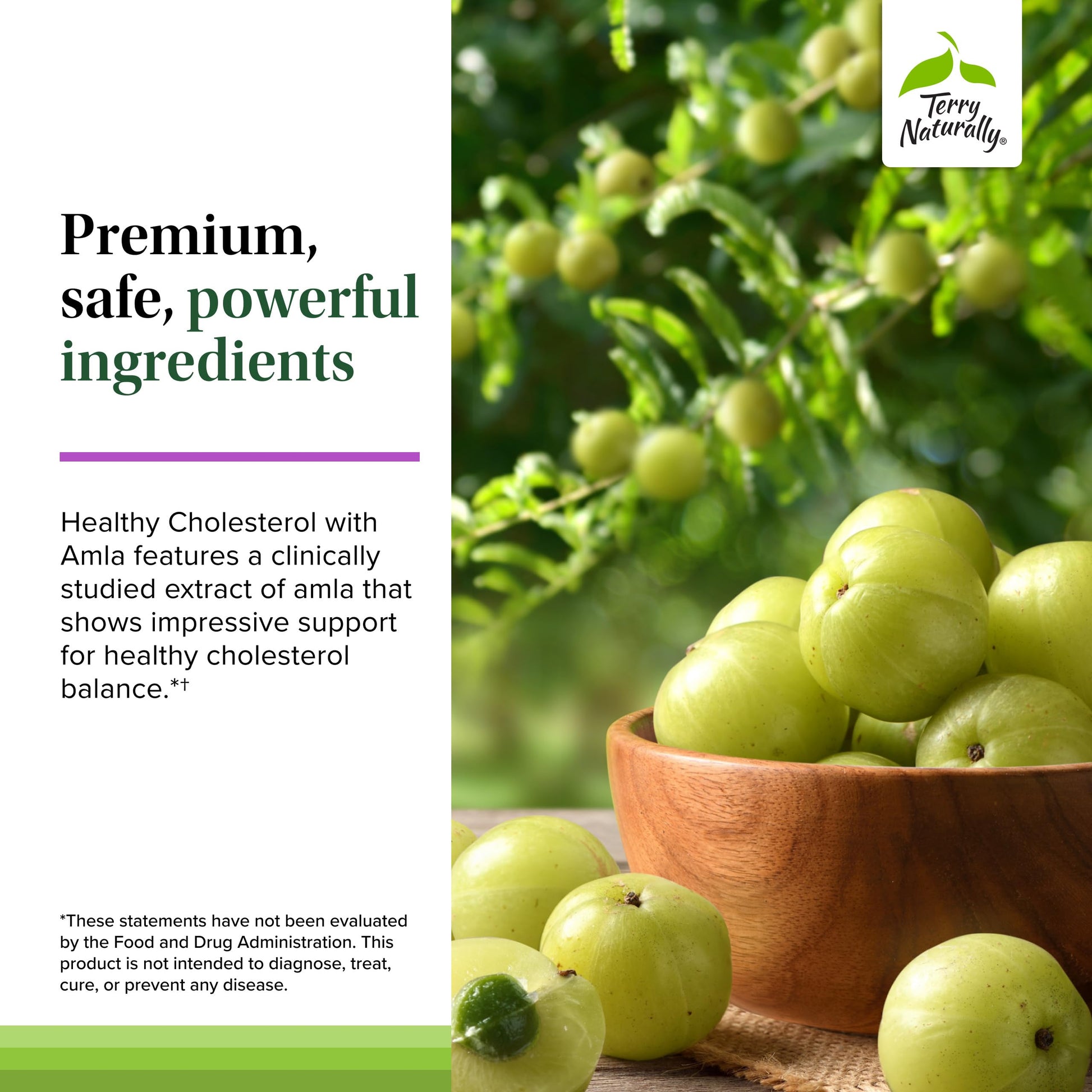 Terry Naturally Healthy Cholesterol with Amla - Antioxidant Supplement for Immune & Heart Support - Supplement to Aid Healthy Cholesterol & Triglyceride - 60 Capsules Terry NaturallyAu supplements