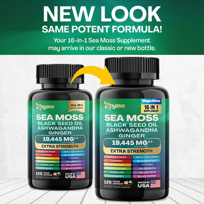 Zoyava Sea Moss 7000mg Black Seed Oil 4000mg Ashwagandha 2000mg Turmeric ZoyavaUS supplements