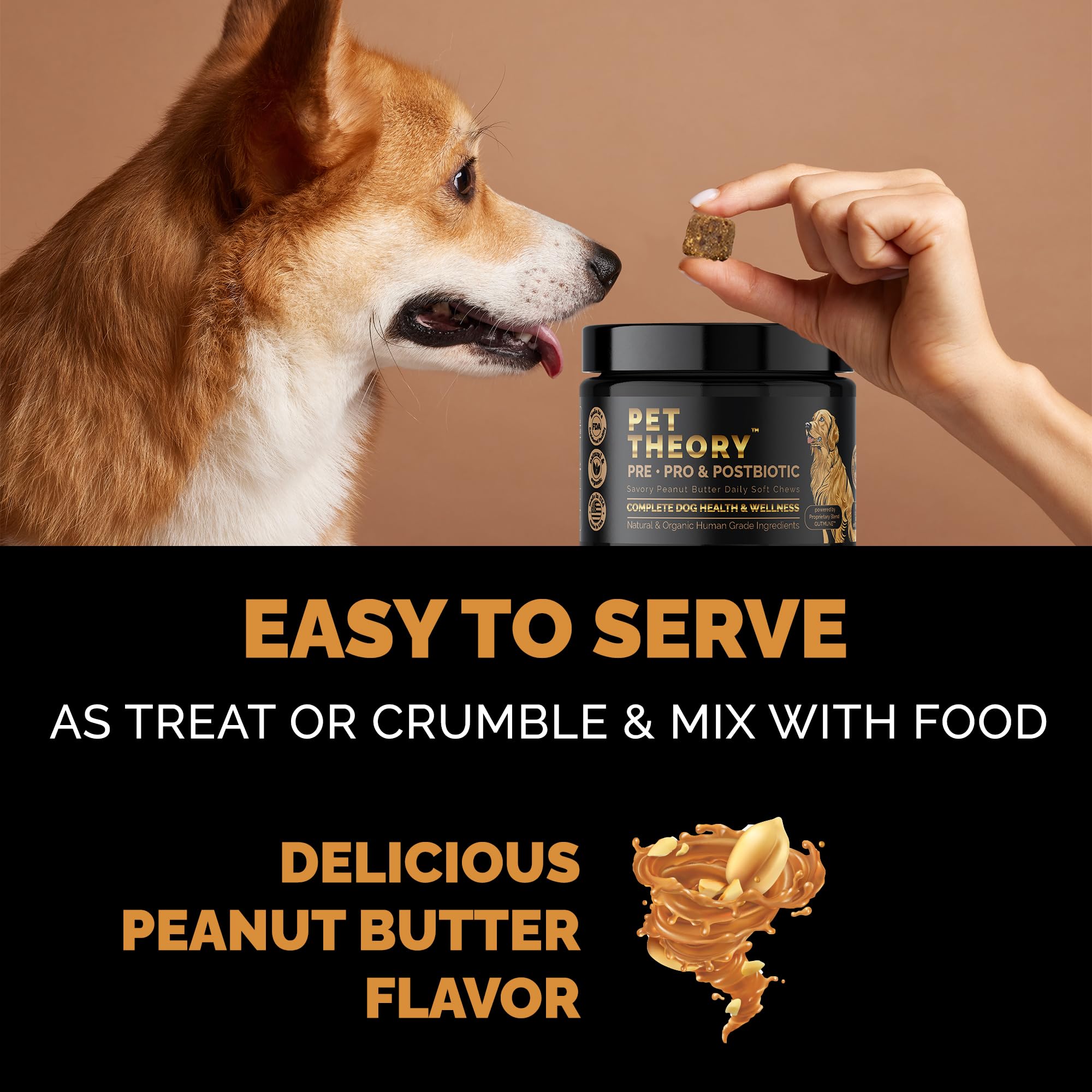 Pet Theory Probiotics for Dogs. Dog Digestive Health-Pre Pro and Postbiotic Combination-Pet Supplements for Gut Health-Supports Digestion, Boost Immunity-100CT Soft Chews Pet TheoryAu supplements