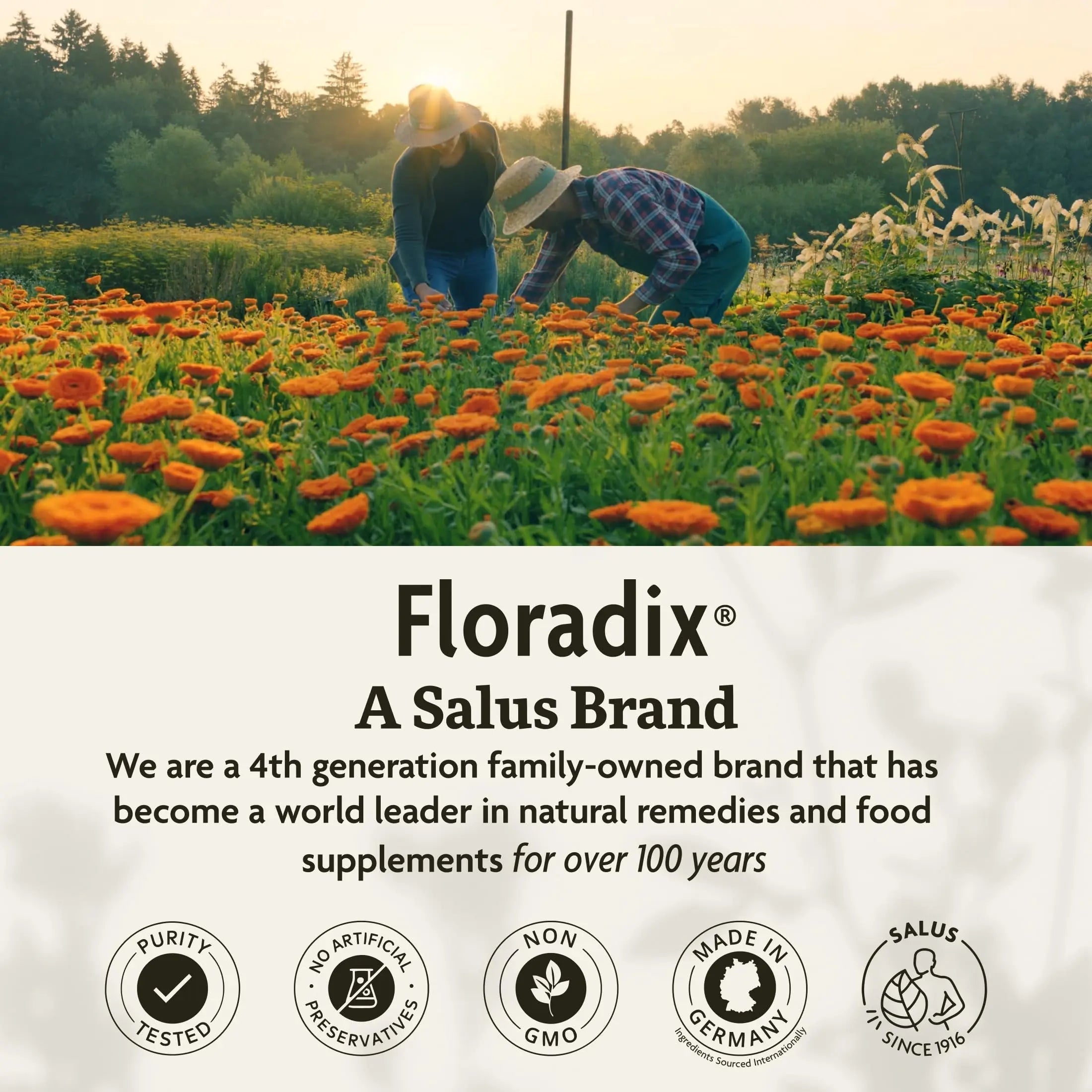 Floradix Kinder Love Children's Multivitamin - Herbal Supplement - Liquid Multivitamin for Kids - Vitamins A, C, D & E, Calcium & More FloradixAu supplements